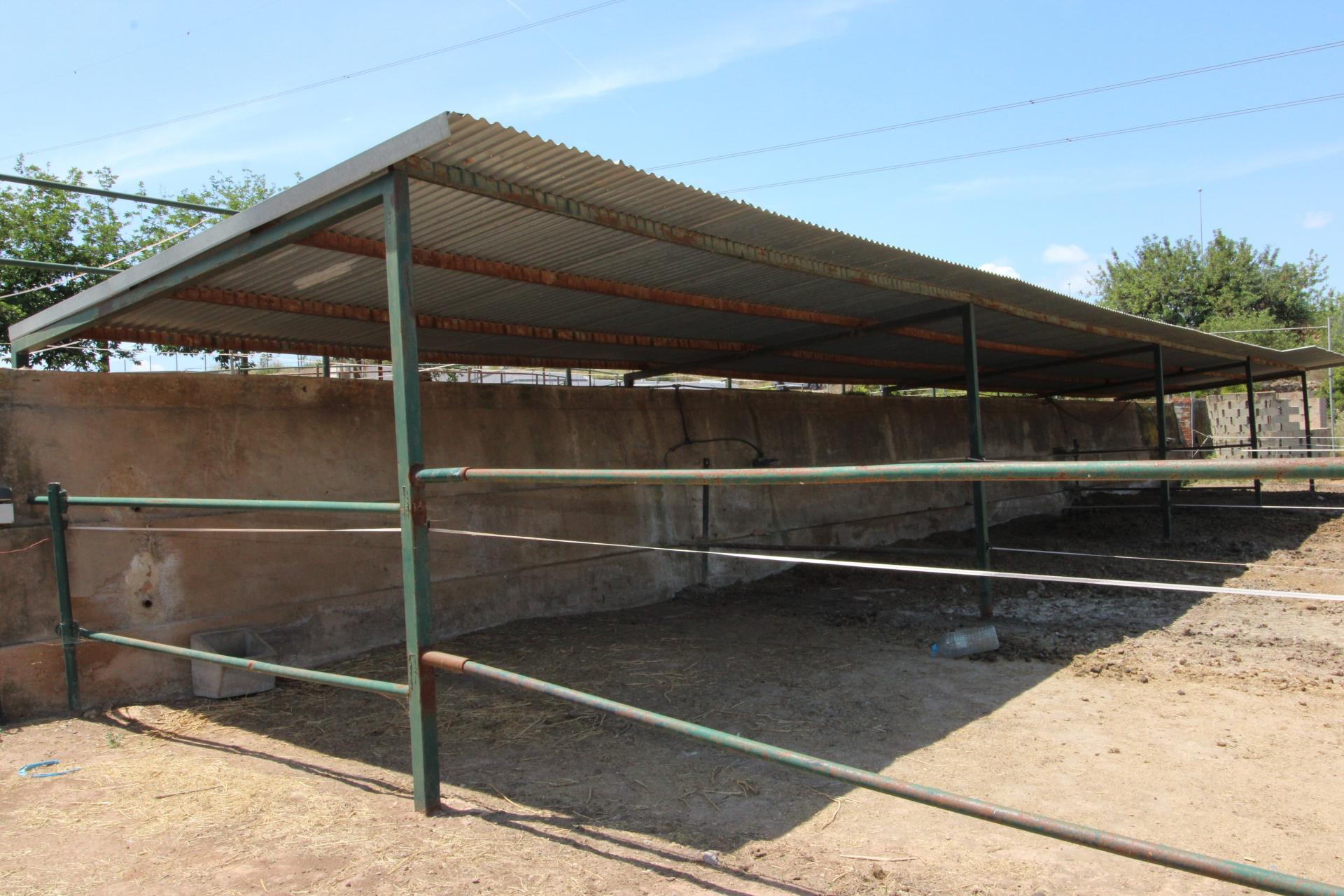 Foto 54 del anuncio.