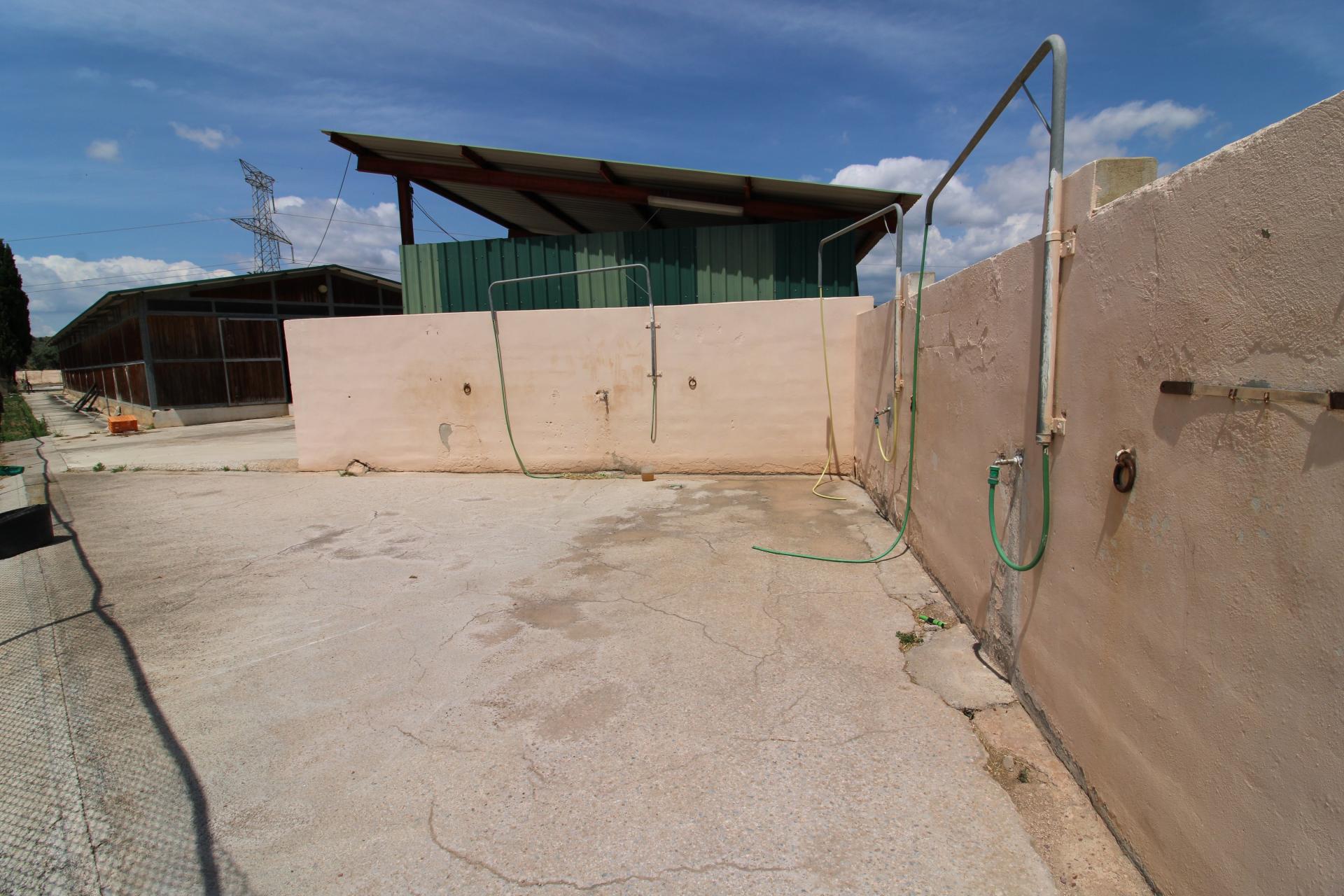 Foto 21 del anuncio.