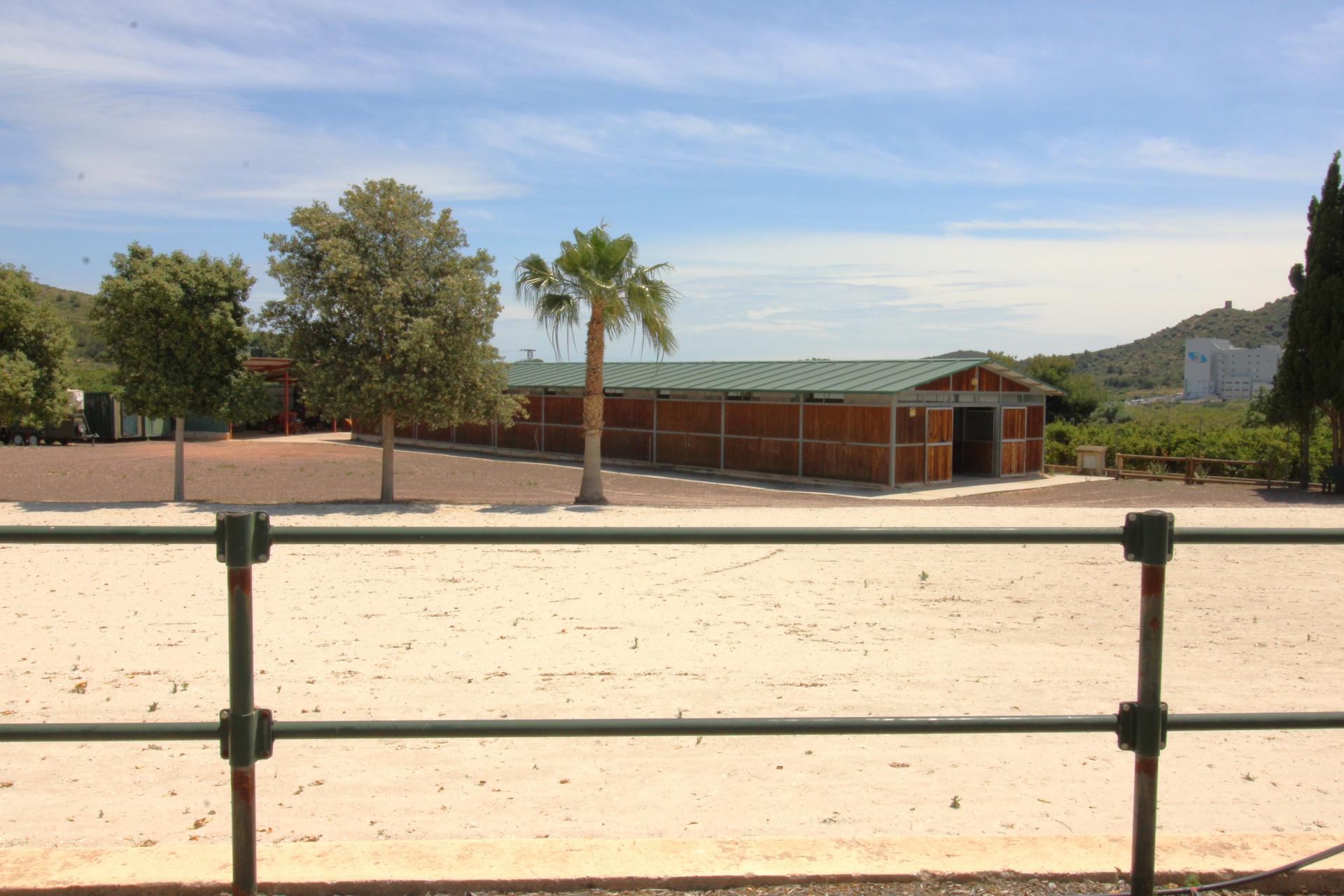 Foto 16 del anuncio.