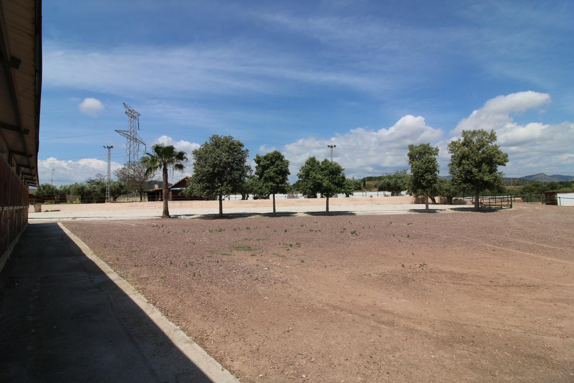 Foto 12 del anuncio.