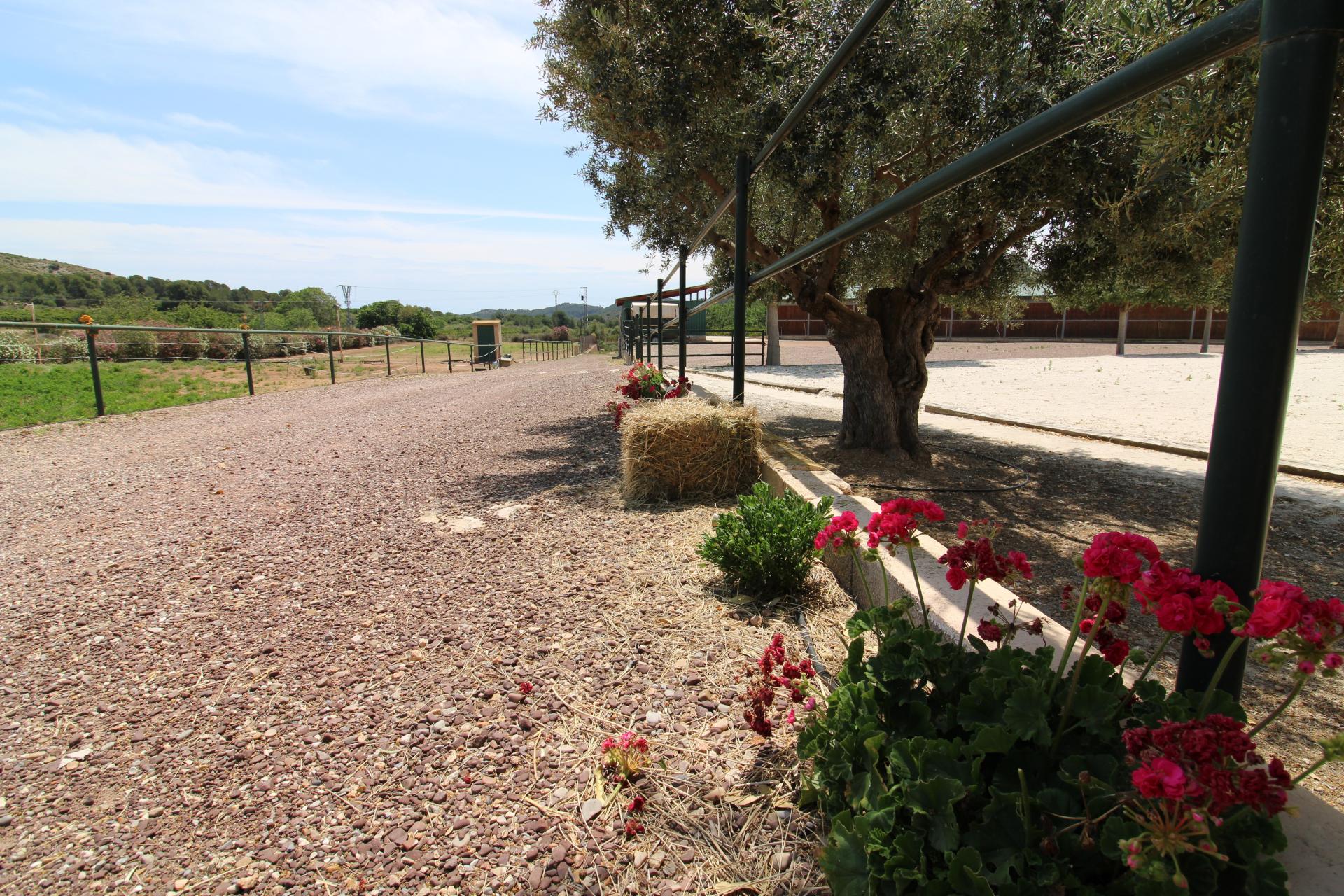 Foto 13 del anuncio.