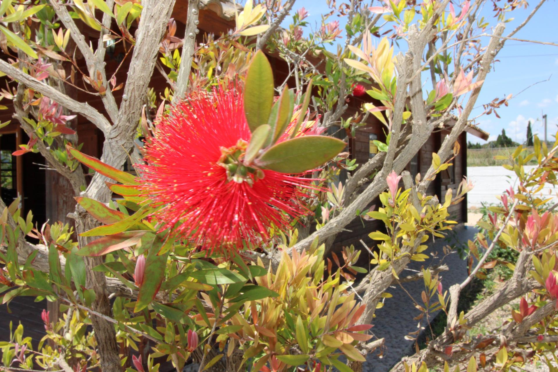 Foto 44 del anuncio.