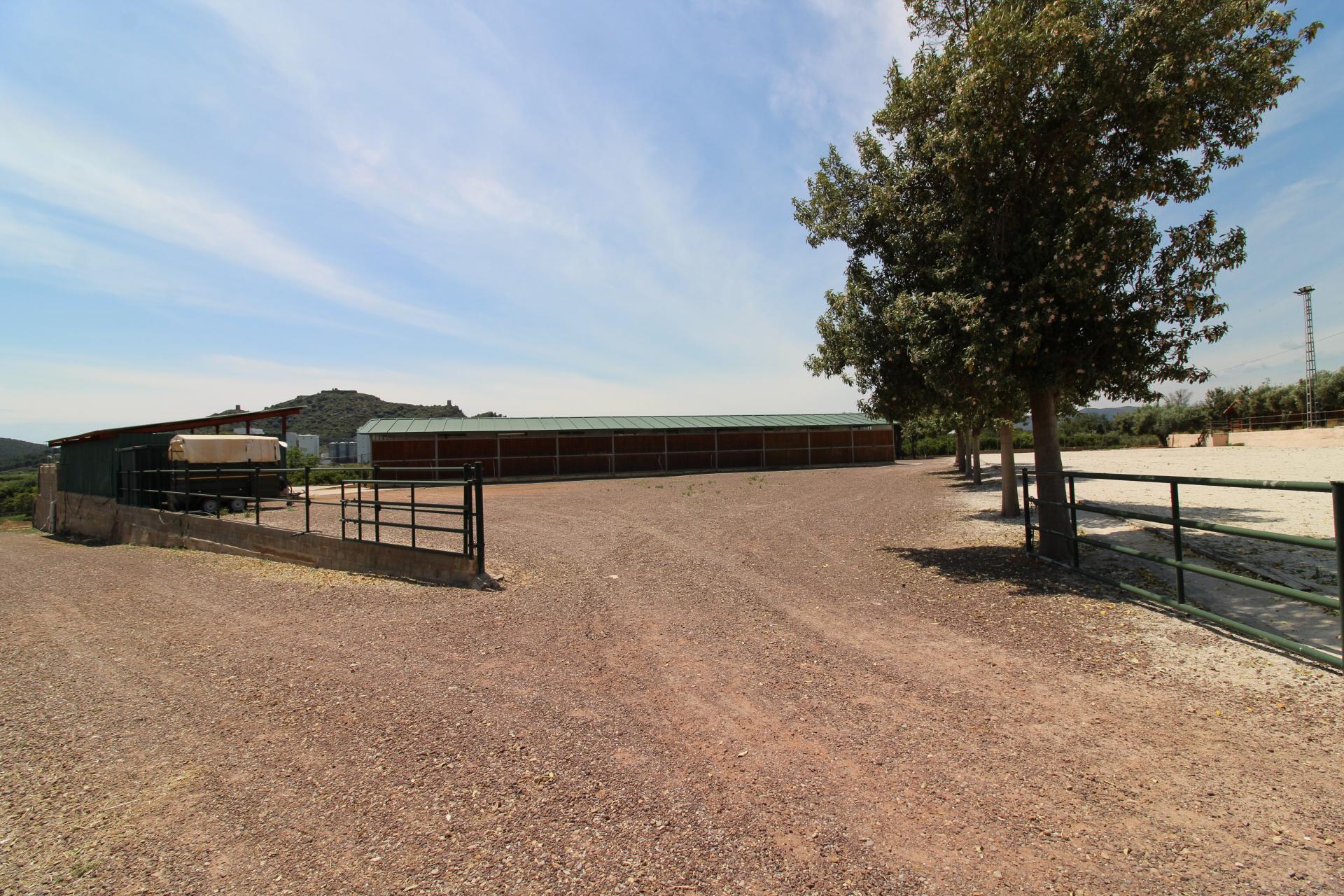 Foto 17 del anuncio.