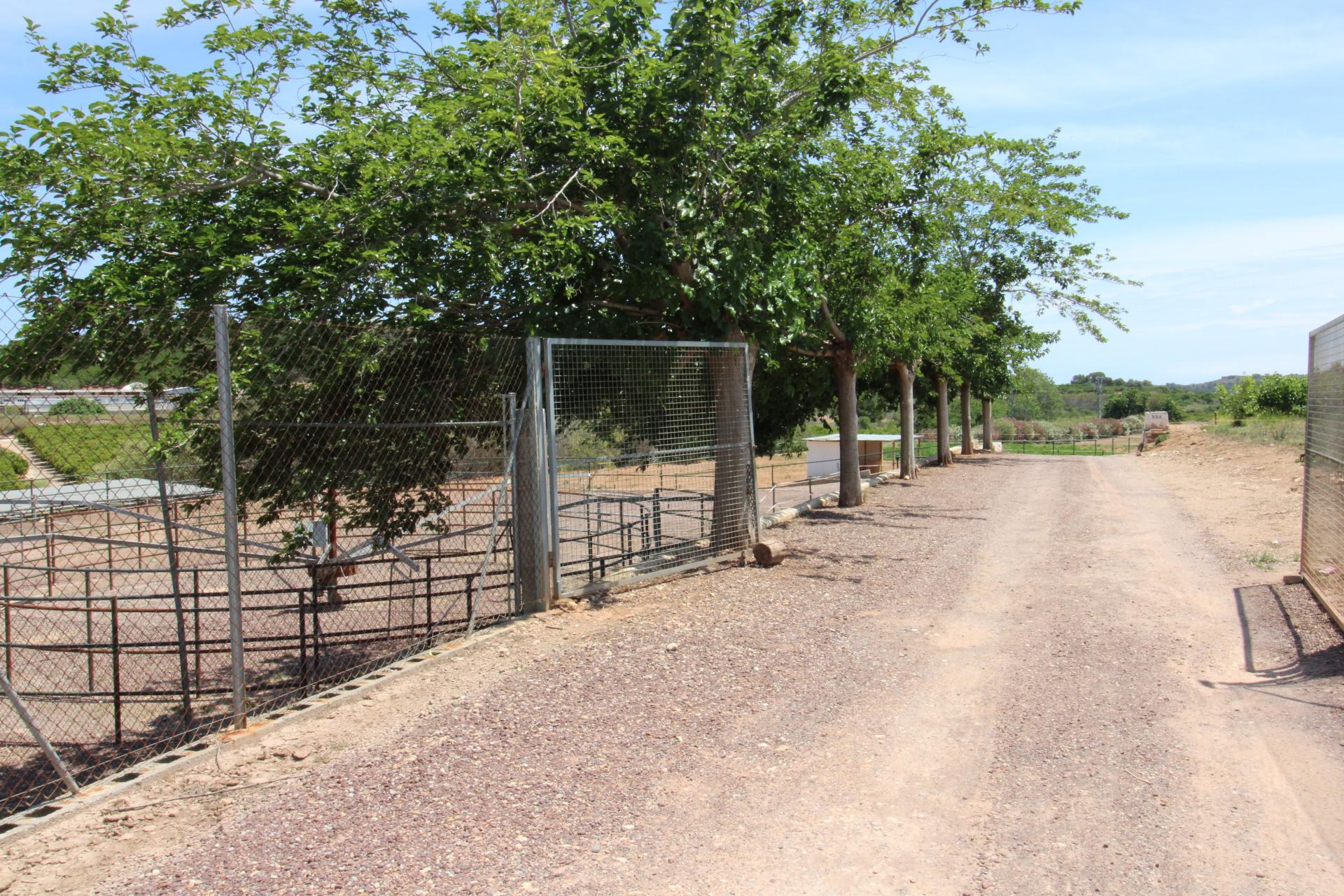 Foto 52 del anuncio.