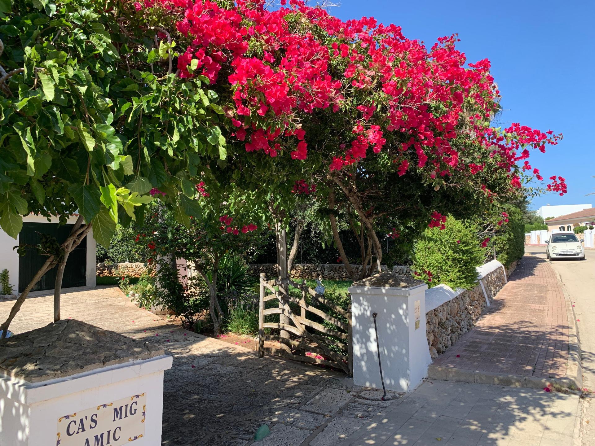 Foto 12 del anuncio.