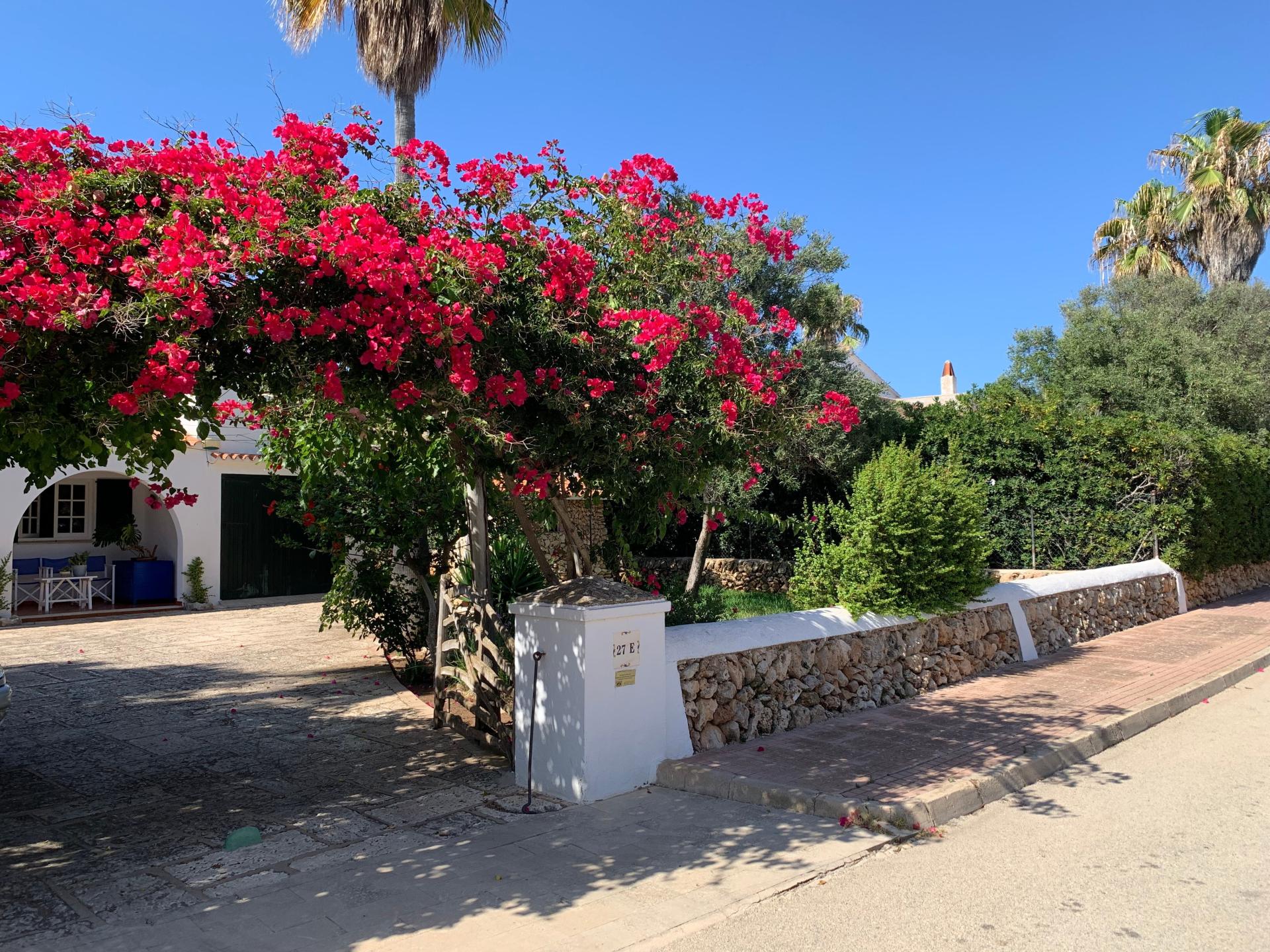 Foto 11 del anuncio.