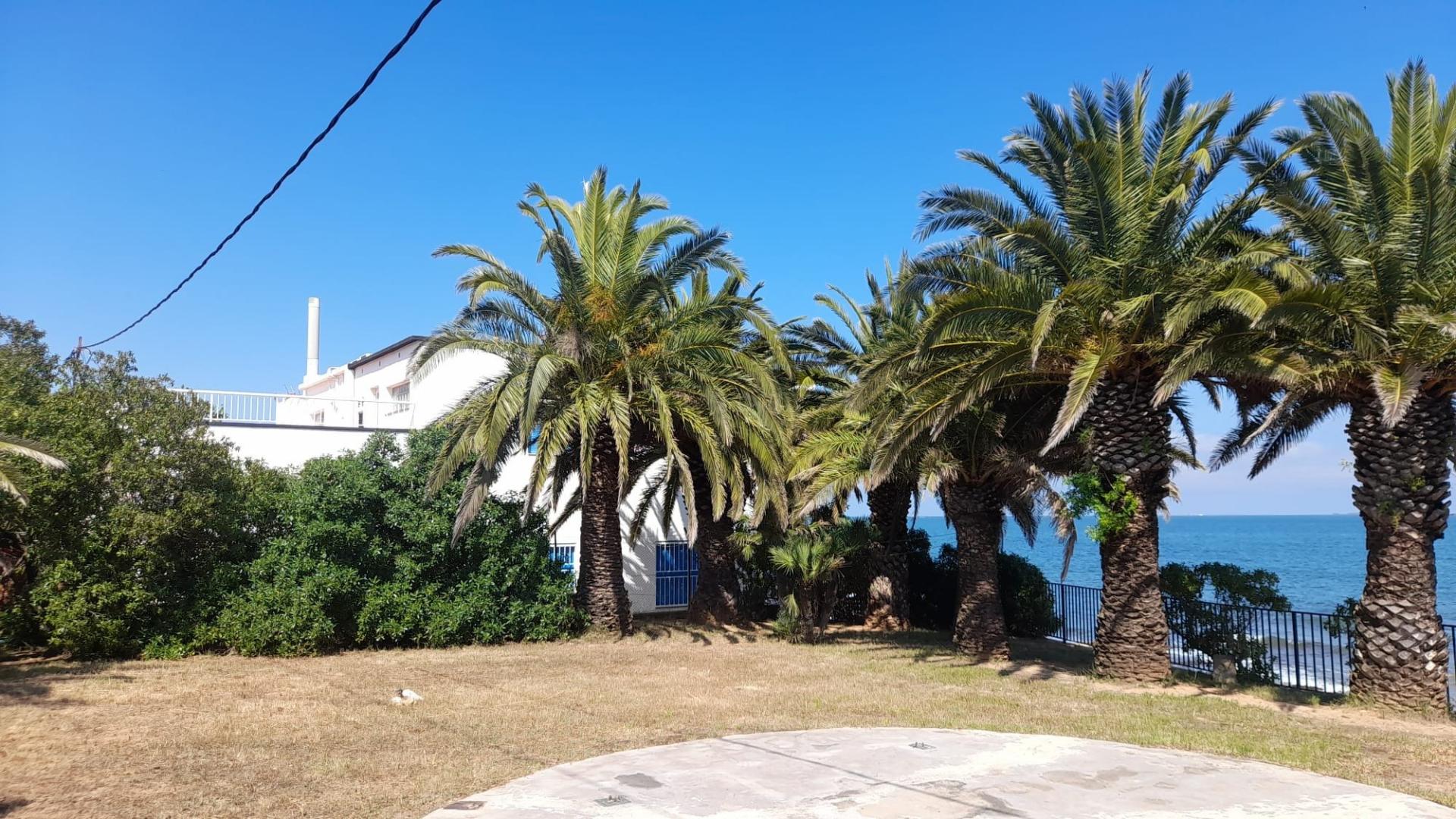 Photo 26 de l'annonce.