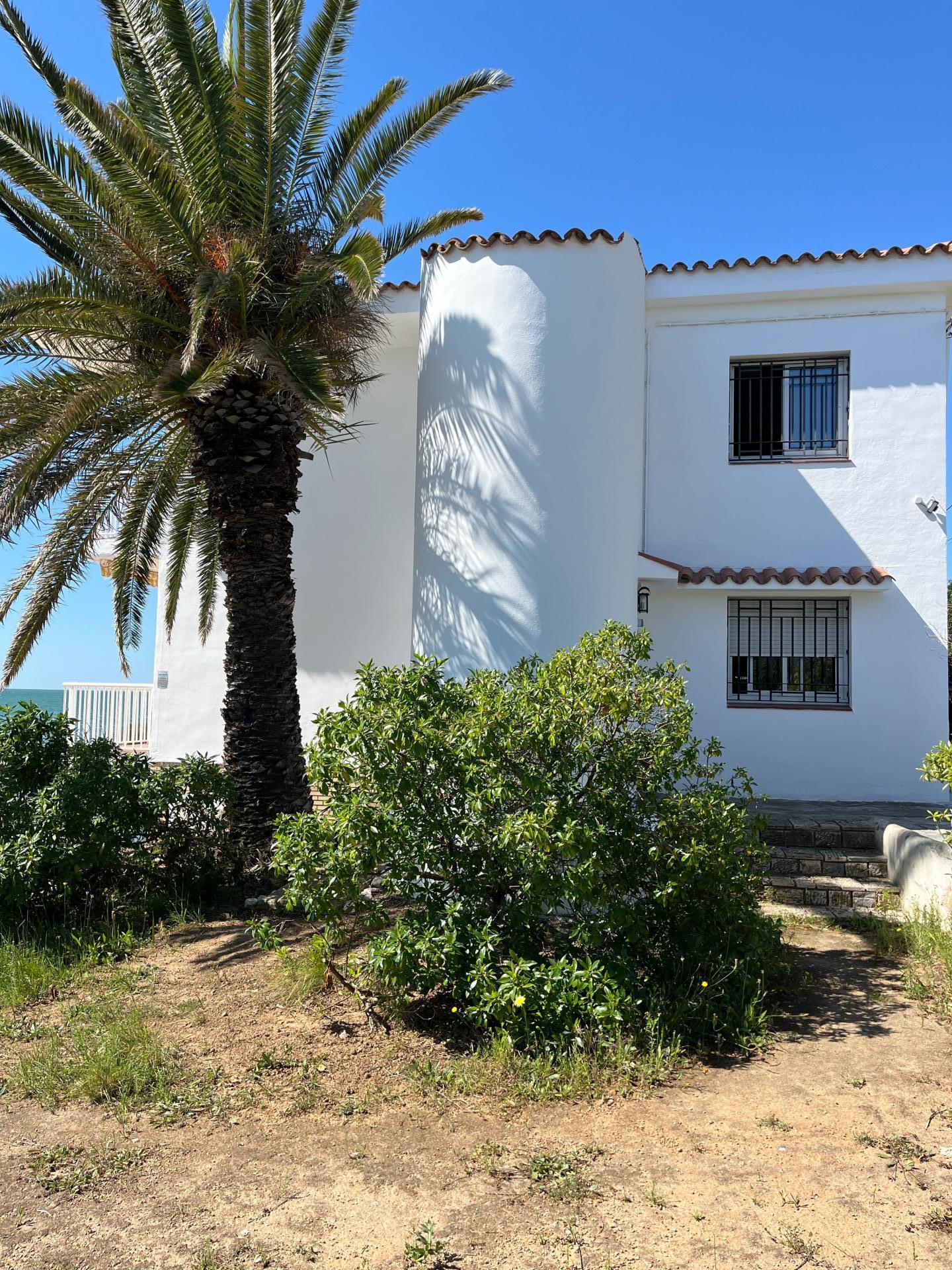 Photo 4 de l'annonce.