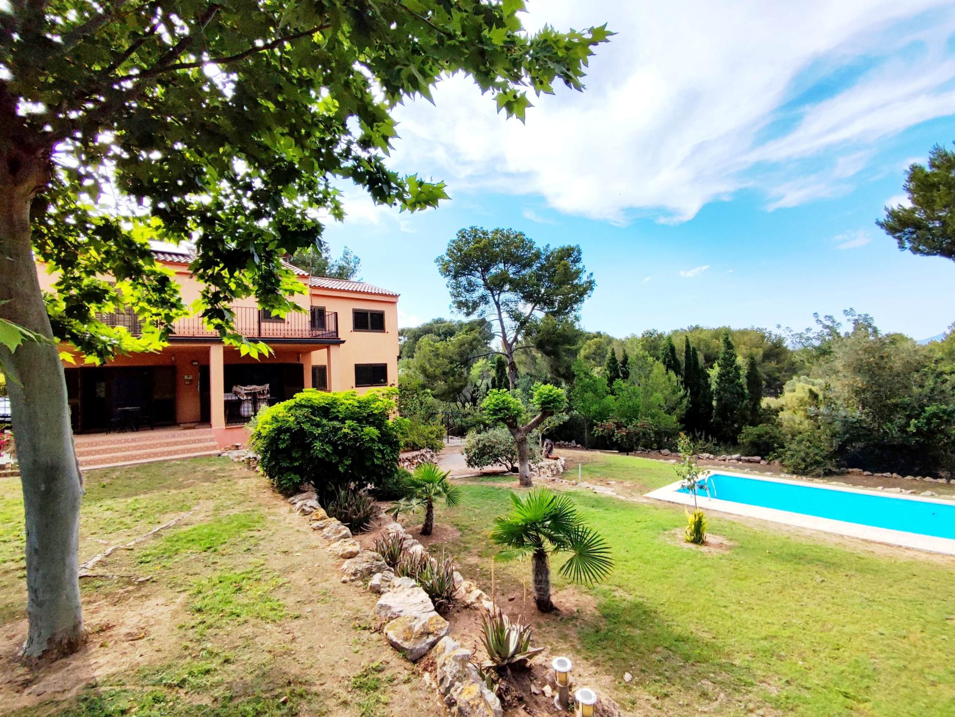 Photo 38 de l'annonce.