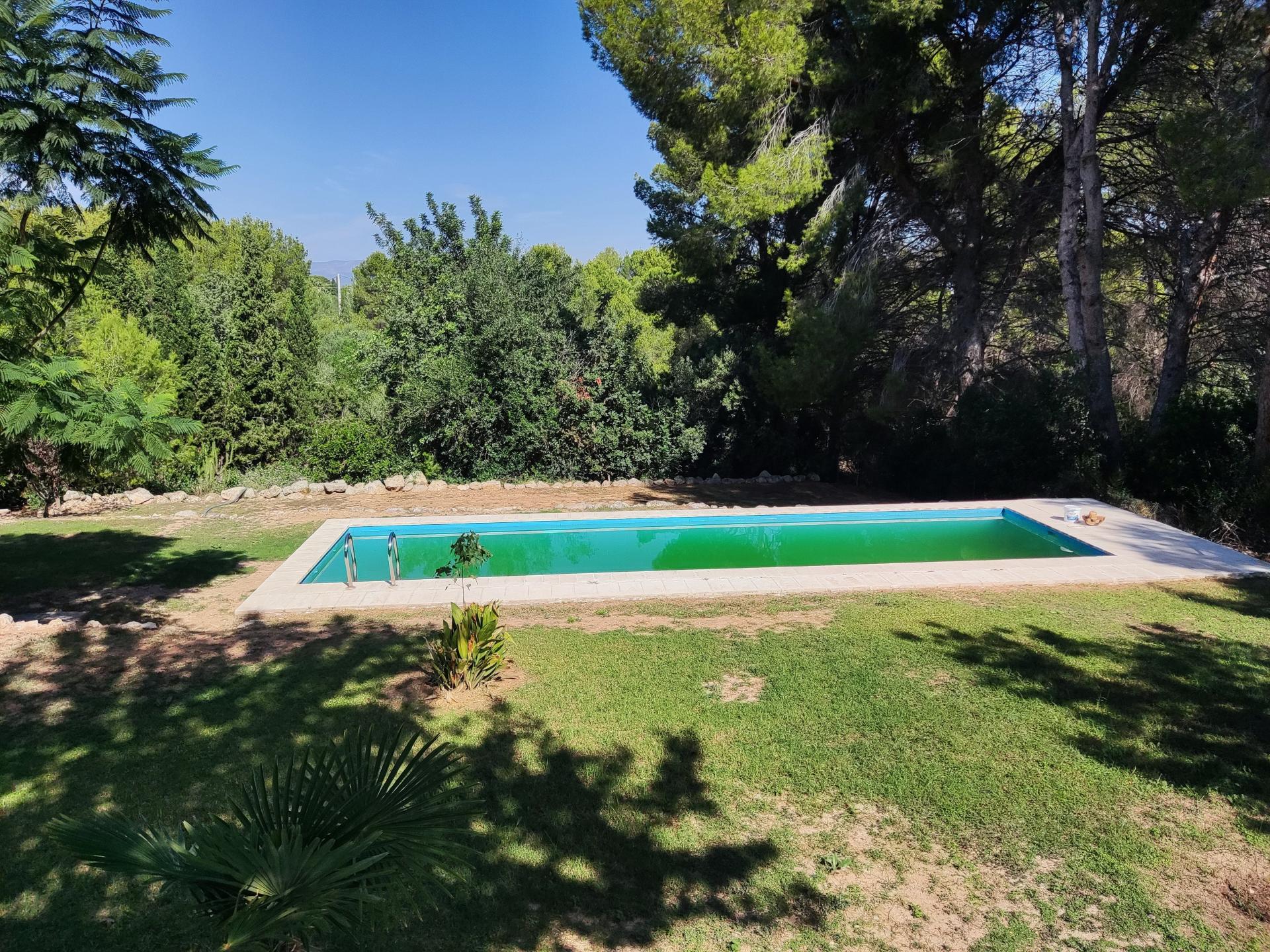 Photo 41 de l'annonce.