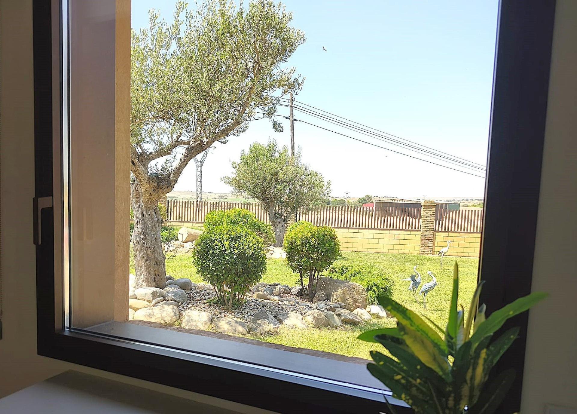 Foto 18 del anuncio.