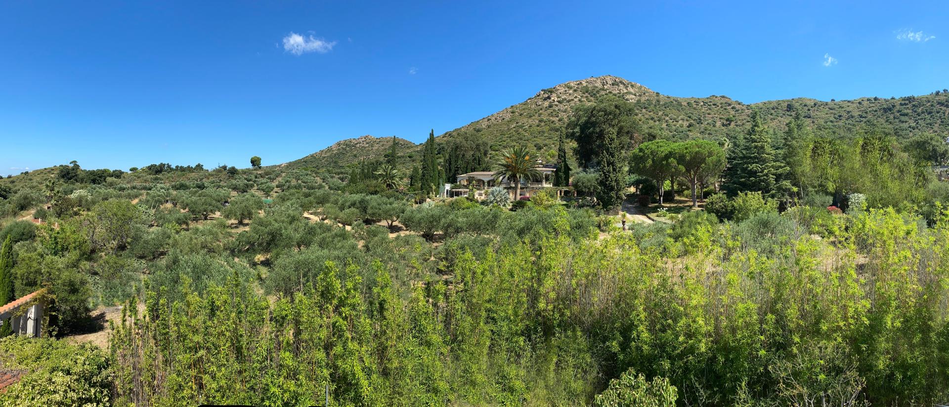 Photo 22 of the listing.