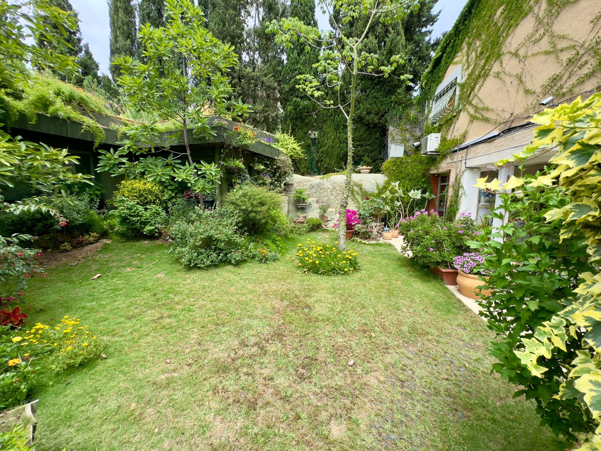 Photo 21 of the listing.