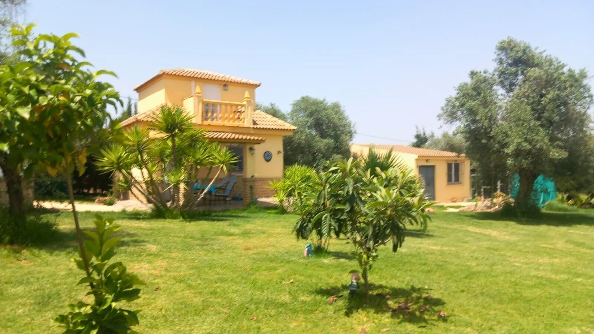 Photo 9 de l'annonce.