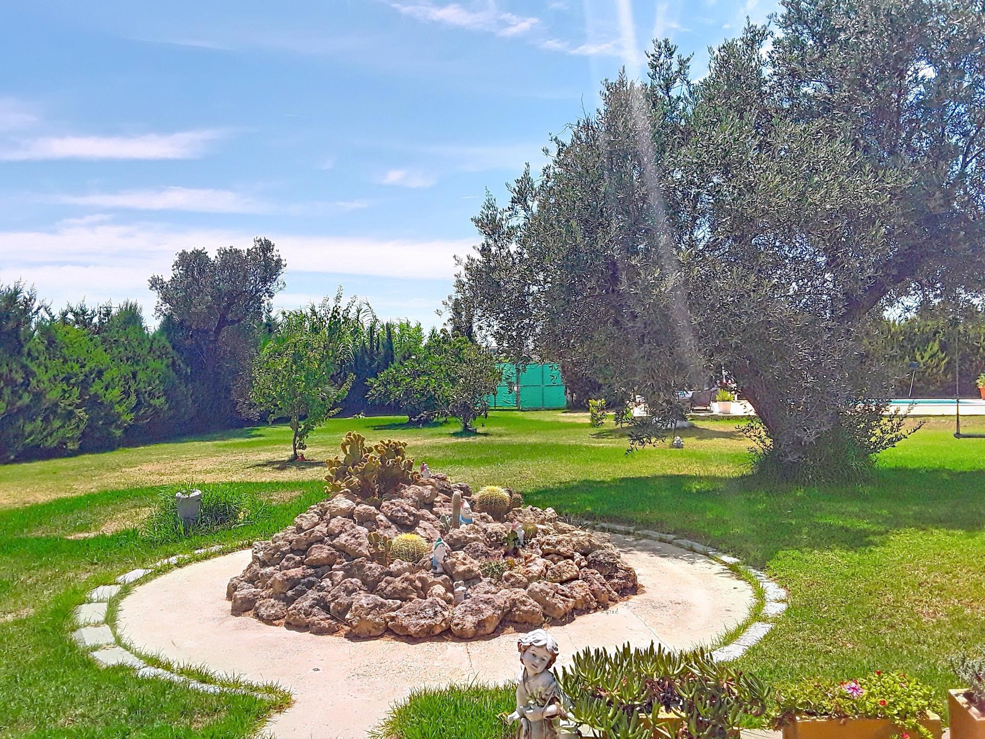 Photo 12 de l'annonce.