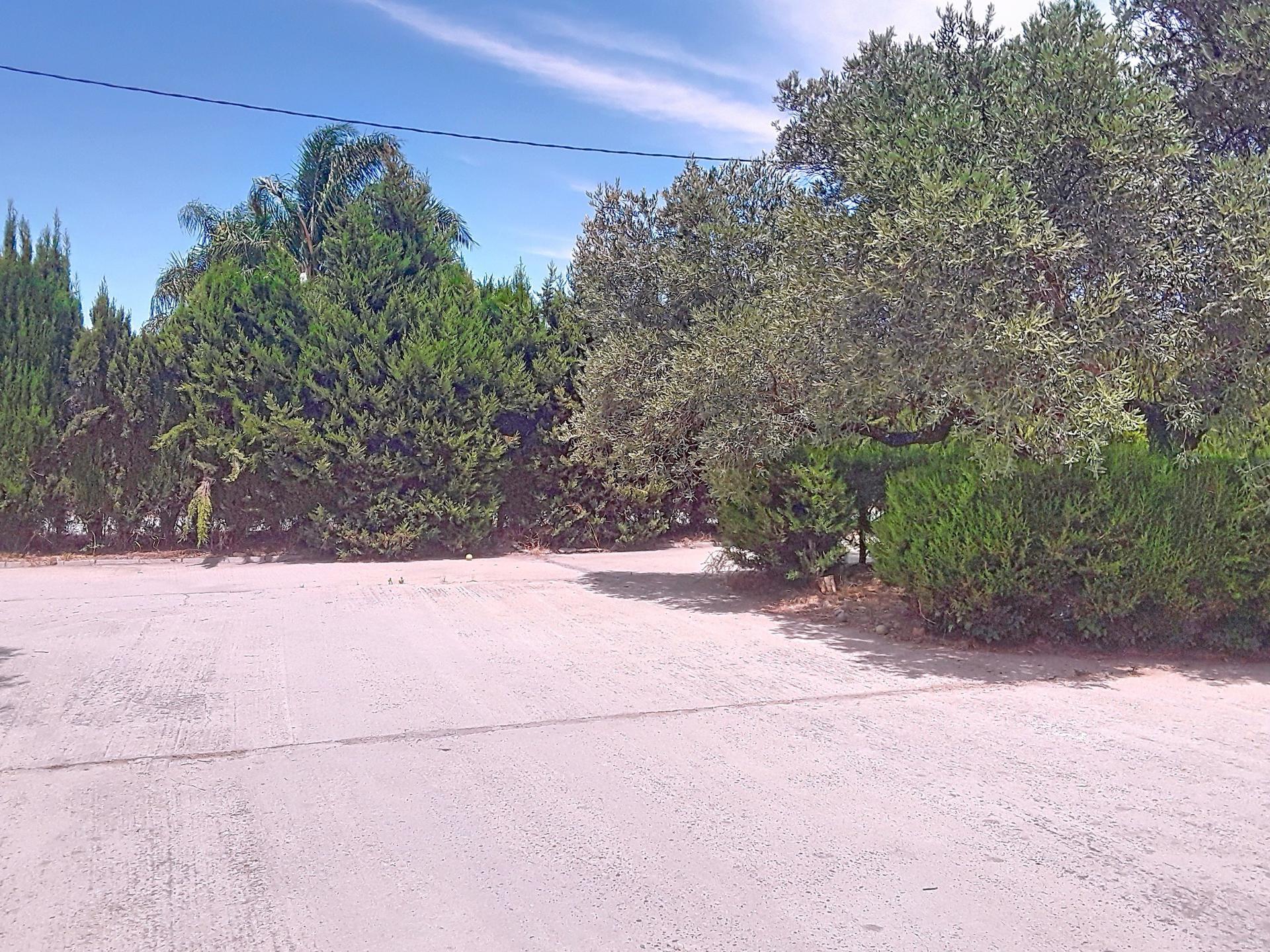 Photo 43 de l'annonce.