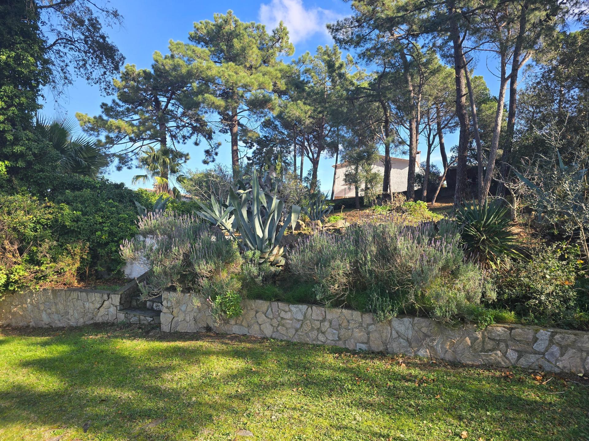 Photo 19 of the listing.