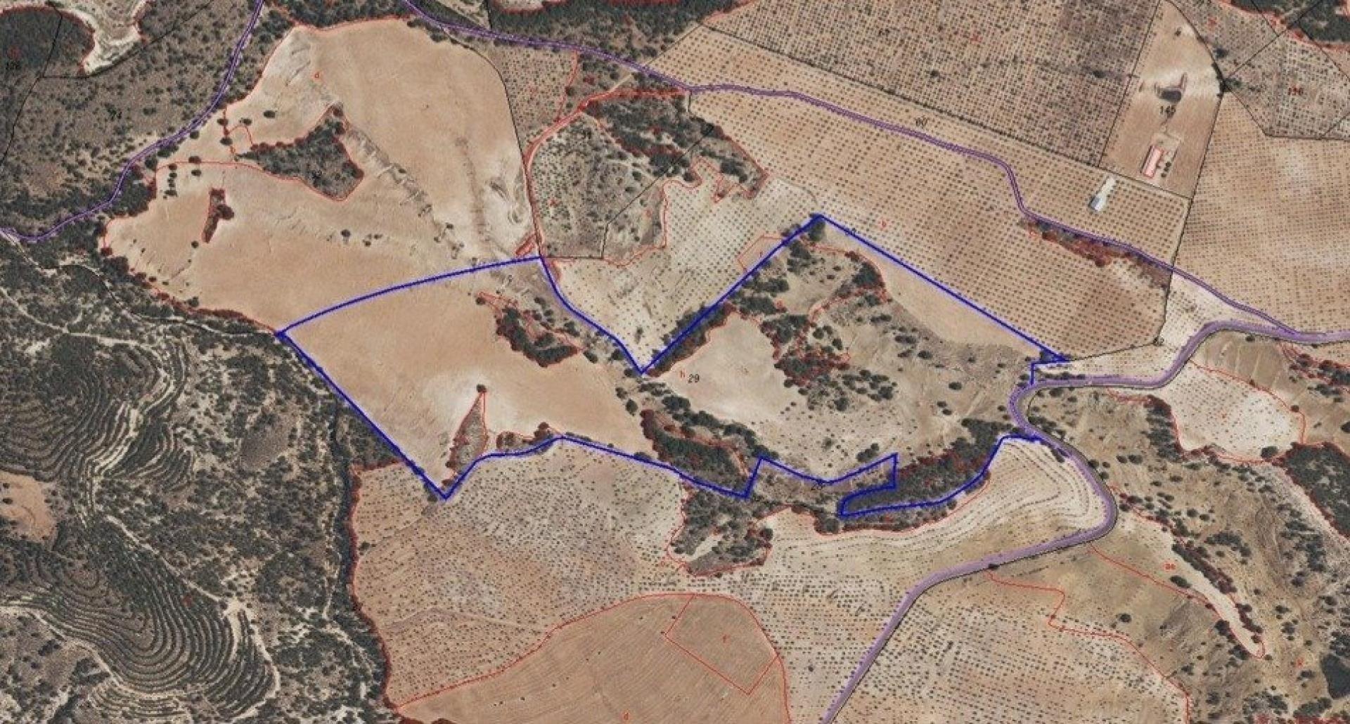 Photo-terrain