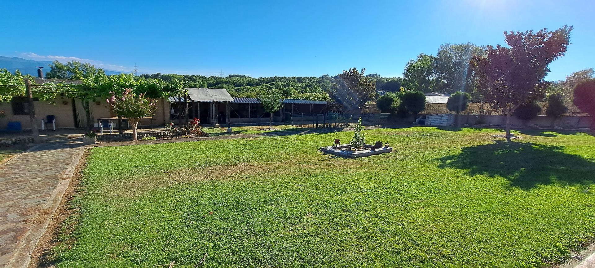 Photo 11 of the listing.