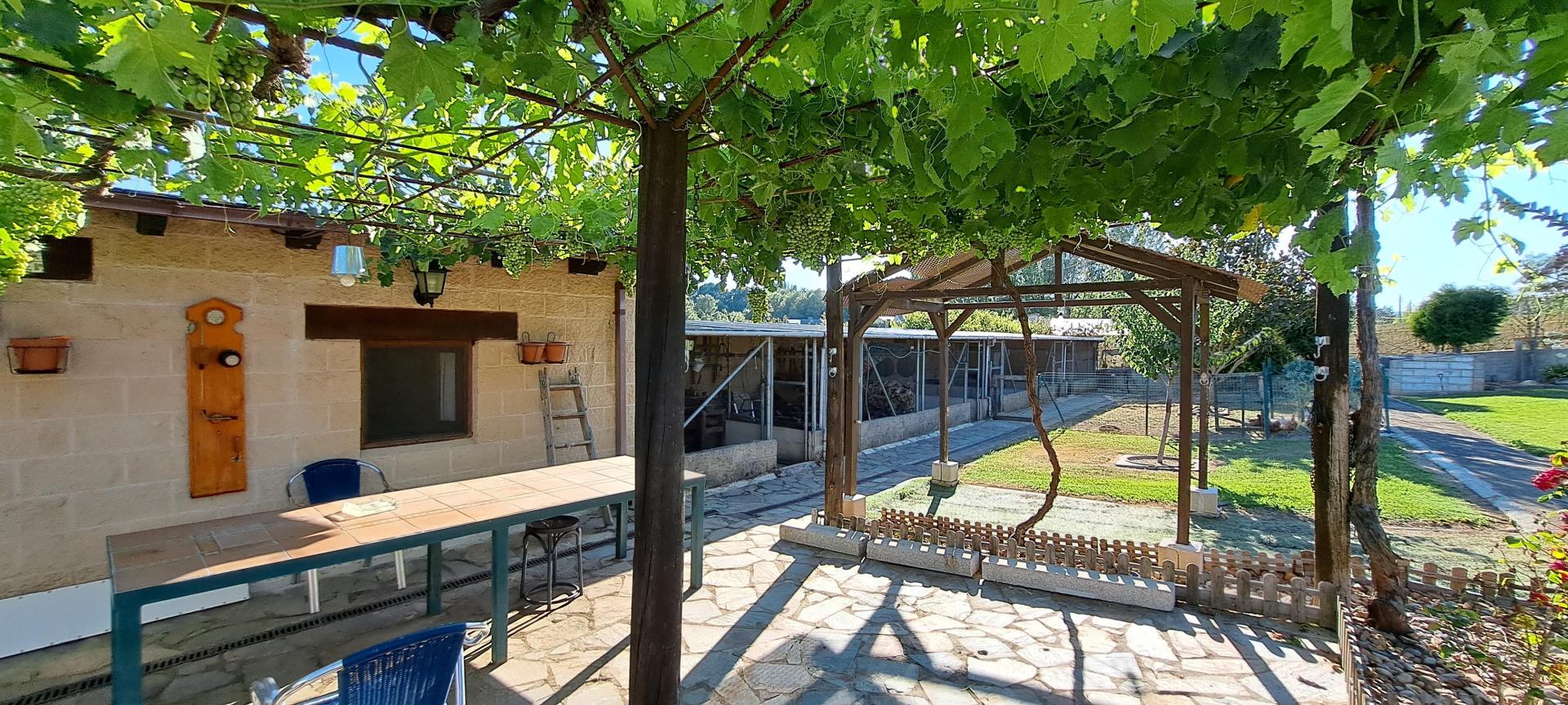 Photo 12 of the listing.