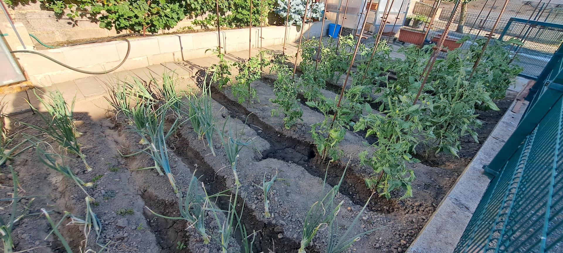 Photo 10 of the listing.