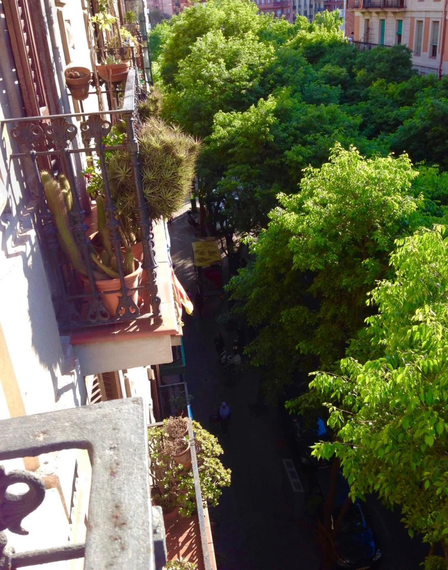 Photo 2 de l'annonce.