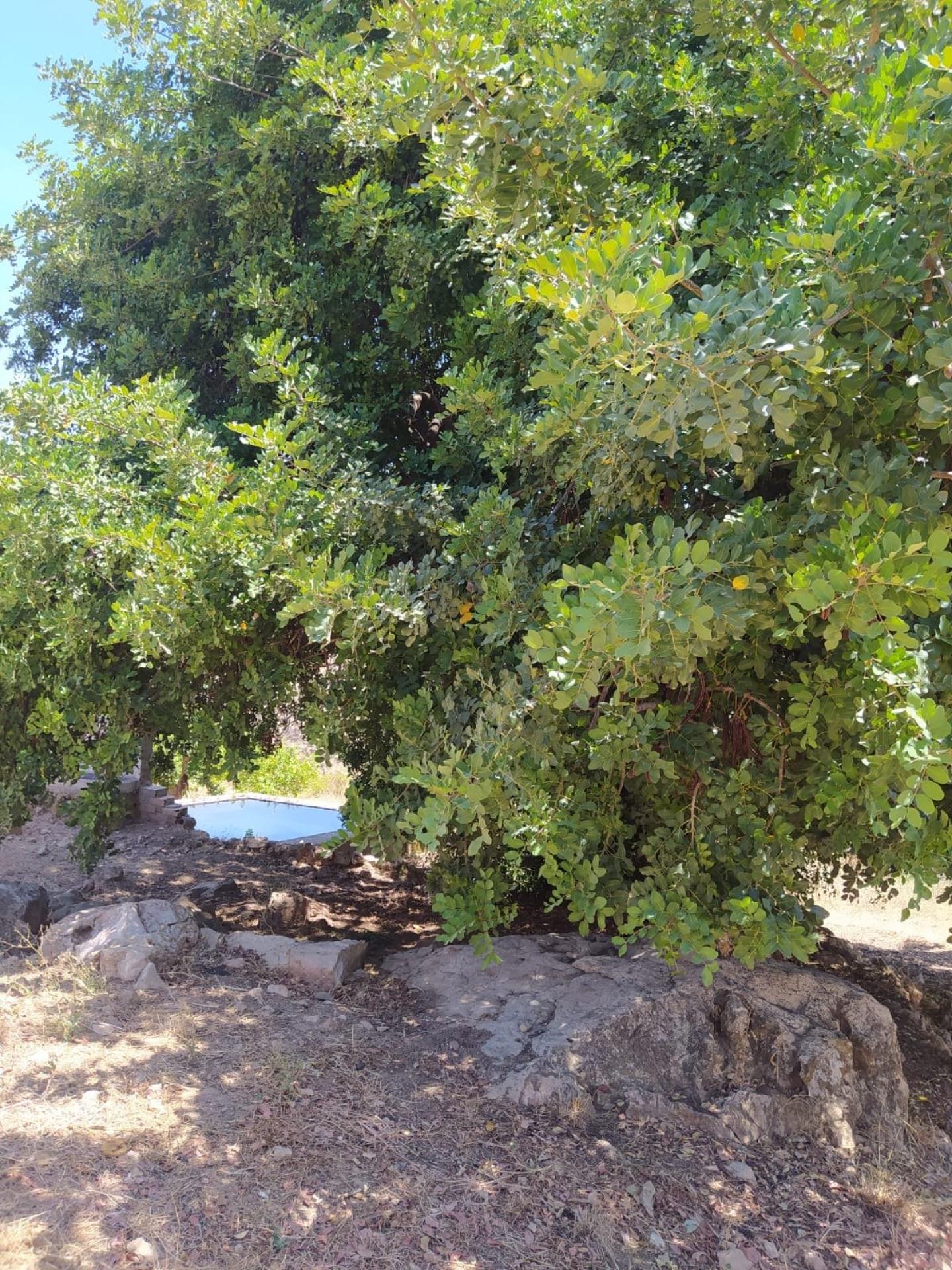 Foto 10 del anuncio.