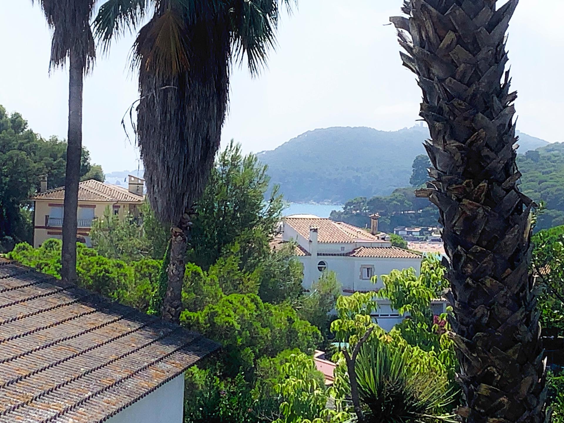 Photo 2 de l'annonce.