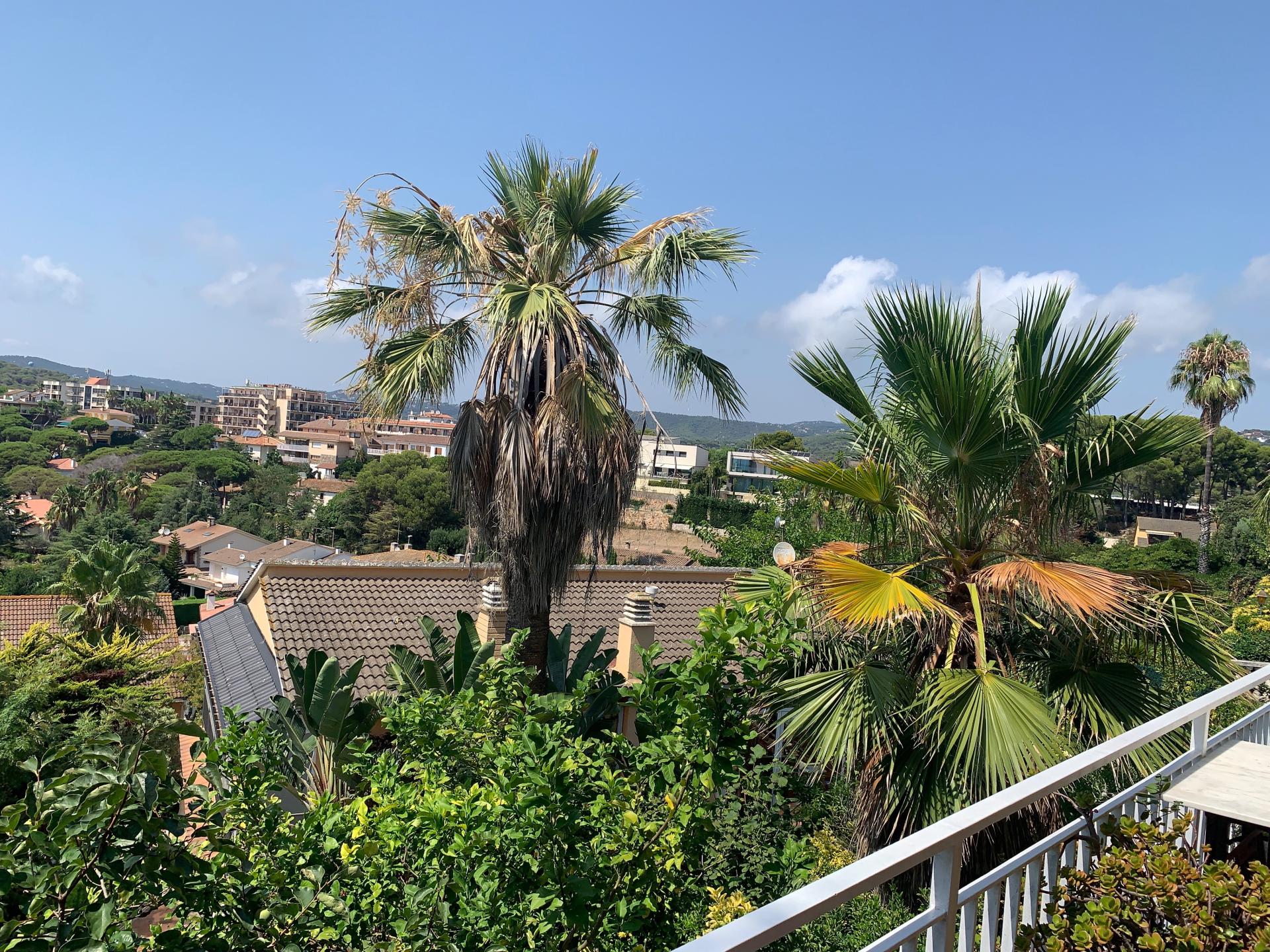 Photo 20 de l'annonce.