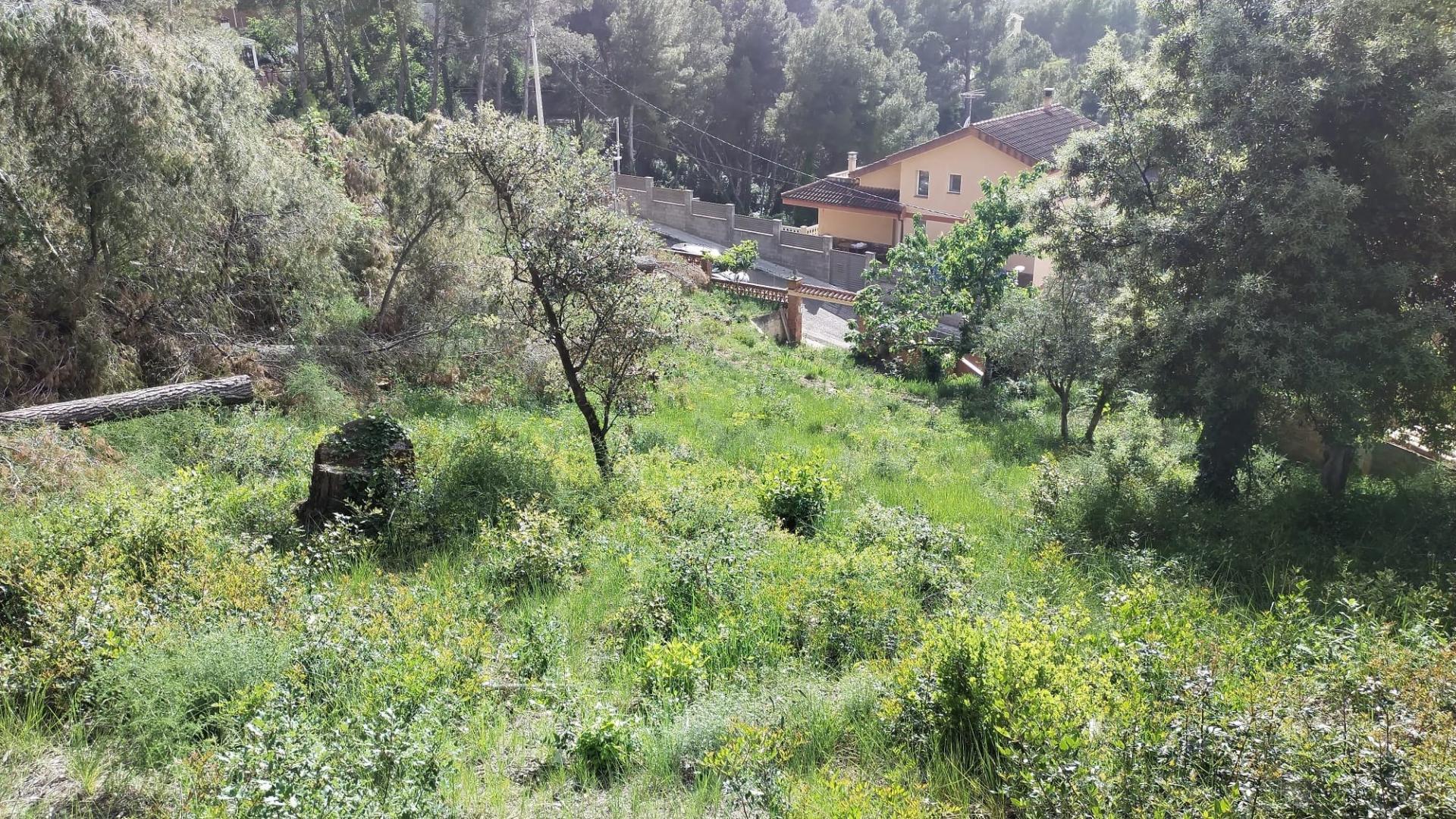 Photo-terrain
