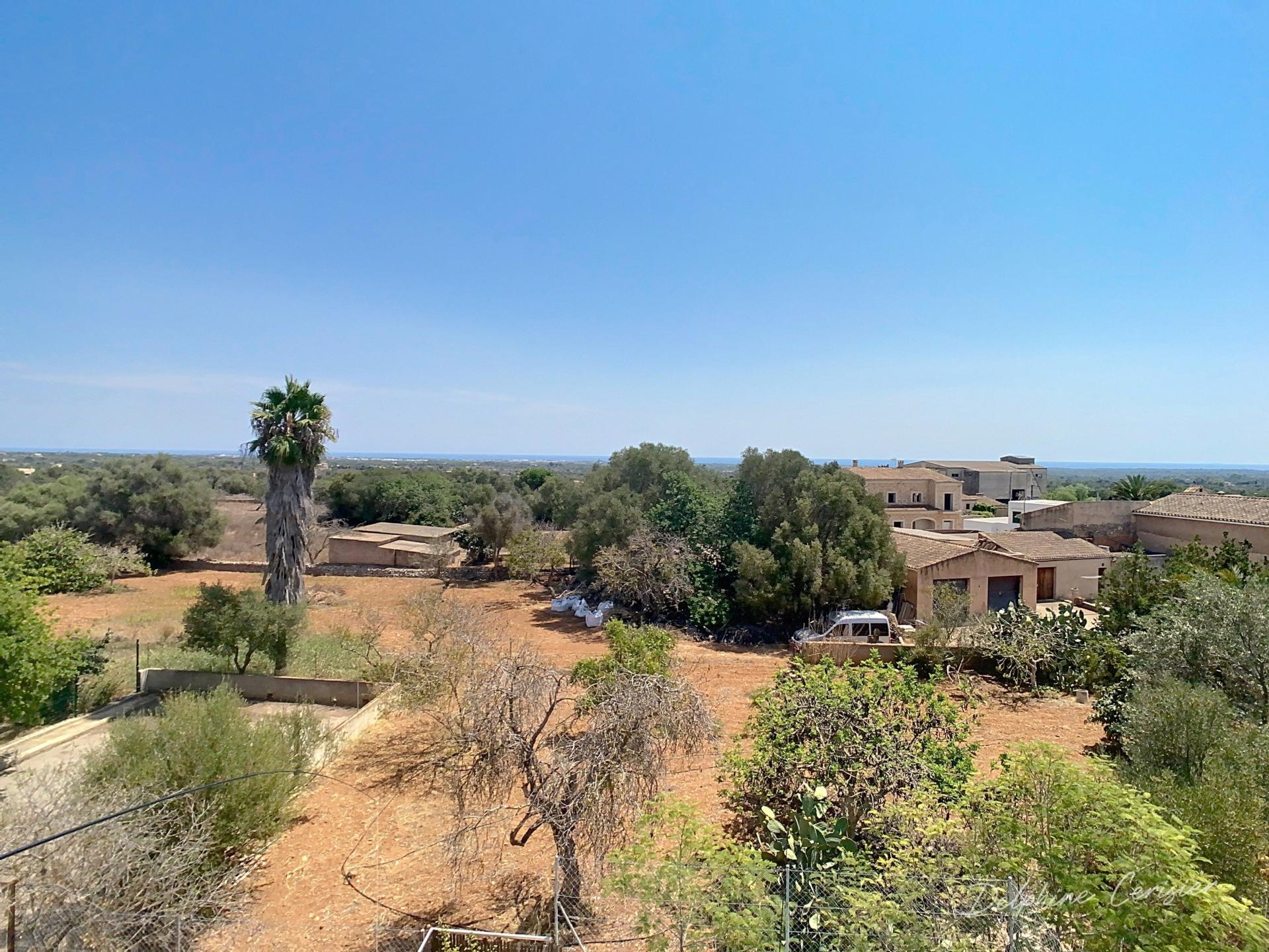 Foto 51 del anuncio.