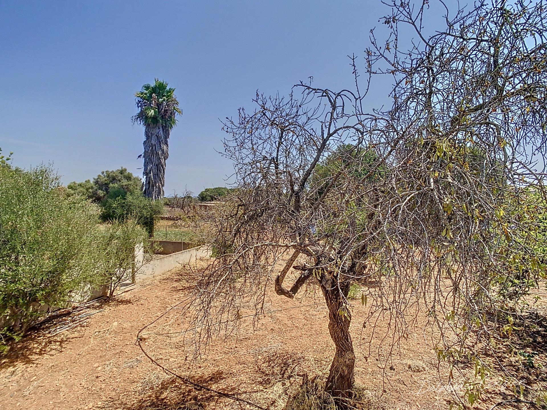 Foto 62 del anuncio.