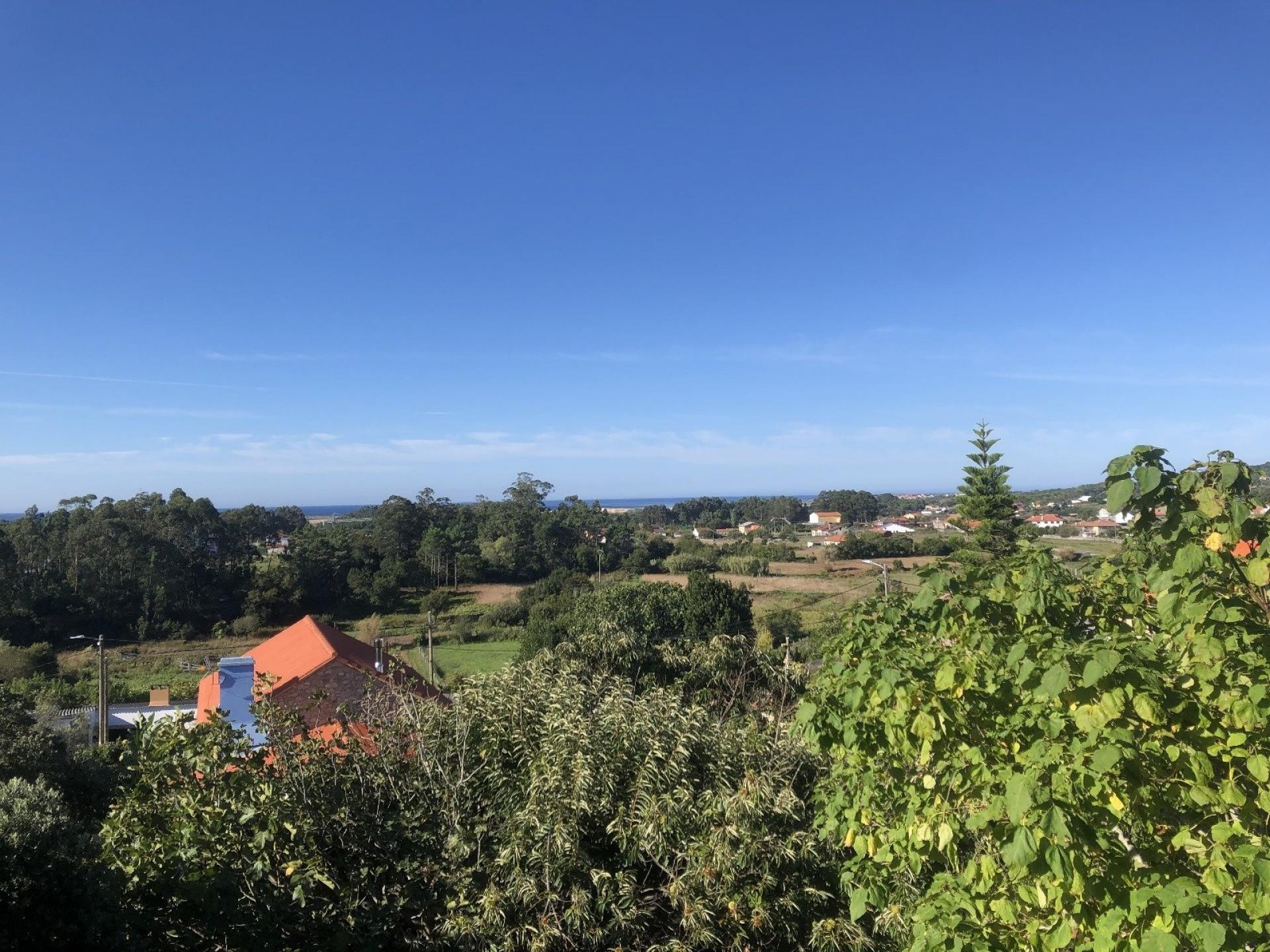 Photo 46 de l'annonce.