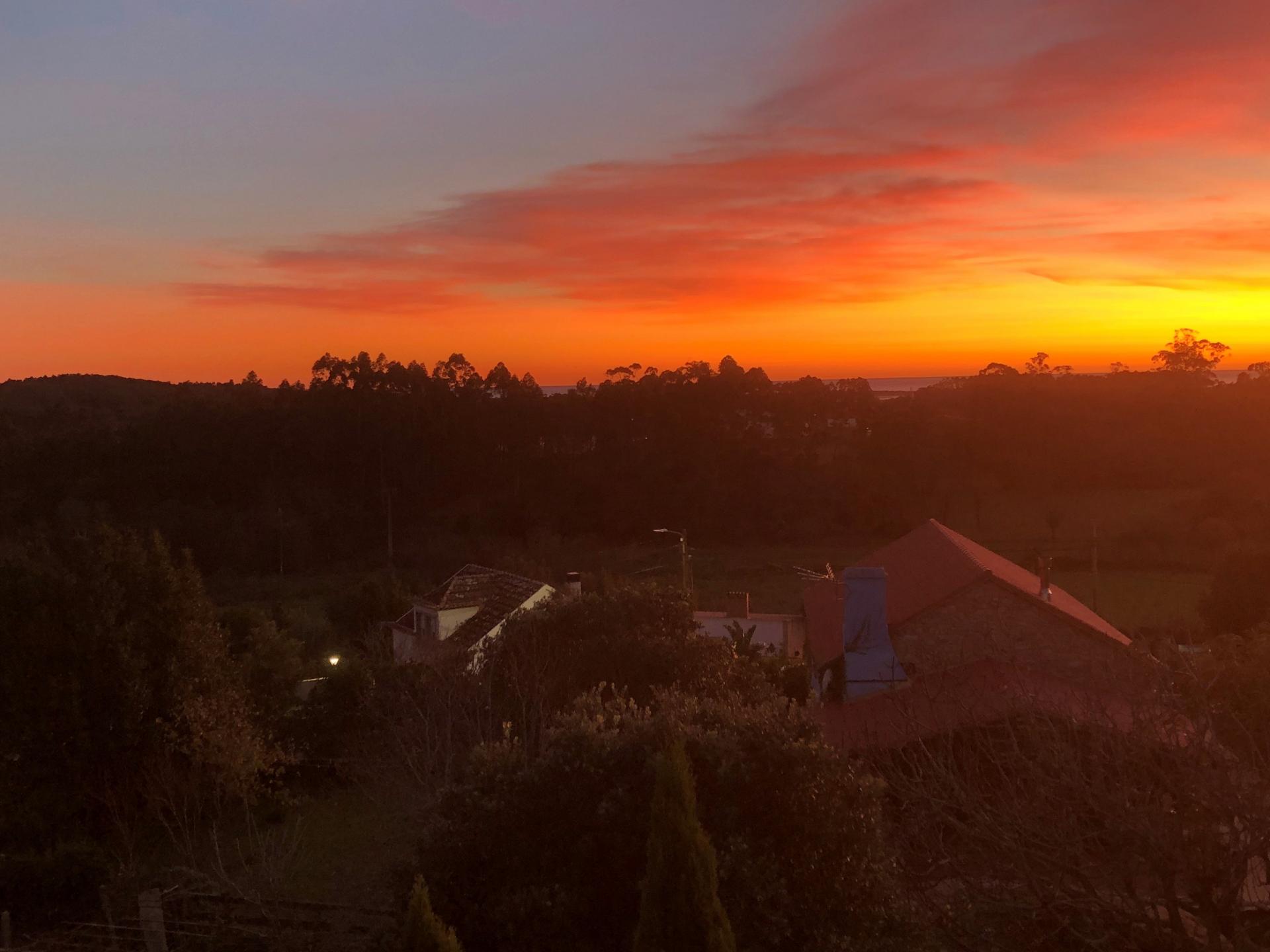 Photo 48 de l'annonce.