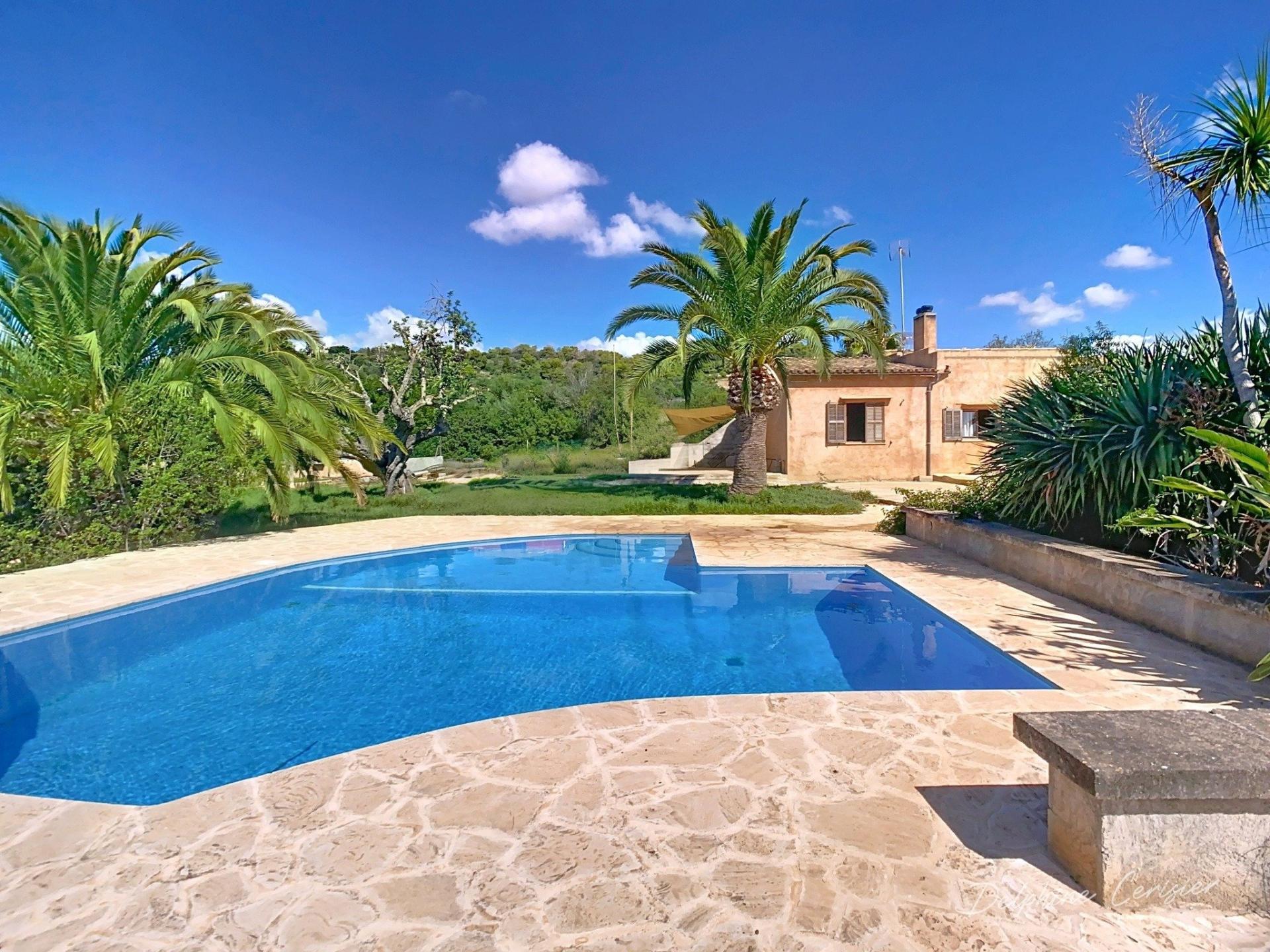 Photo 4 de l'annonce.