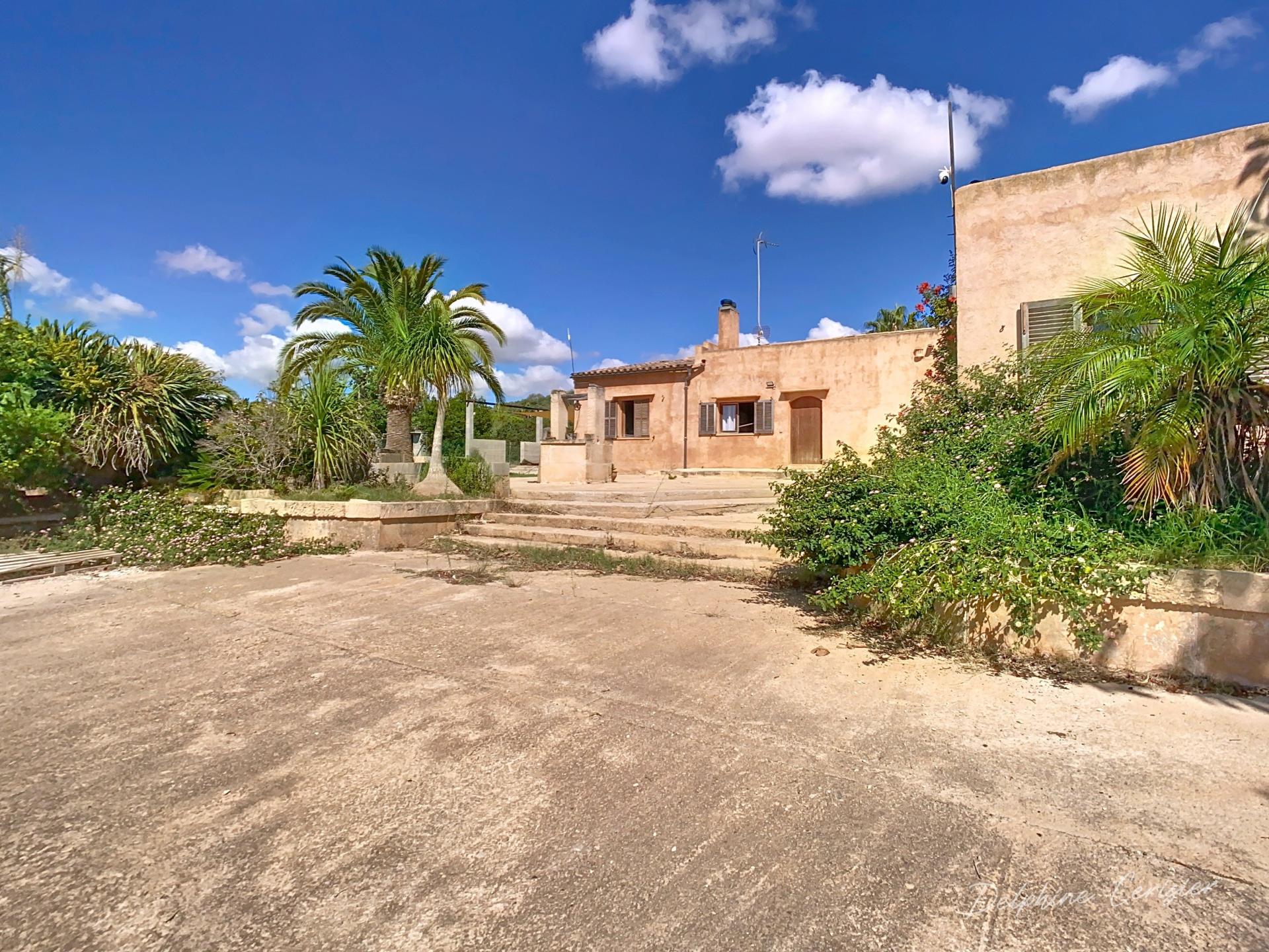 Photo 18 de l'annonce.