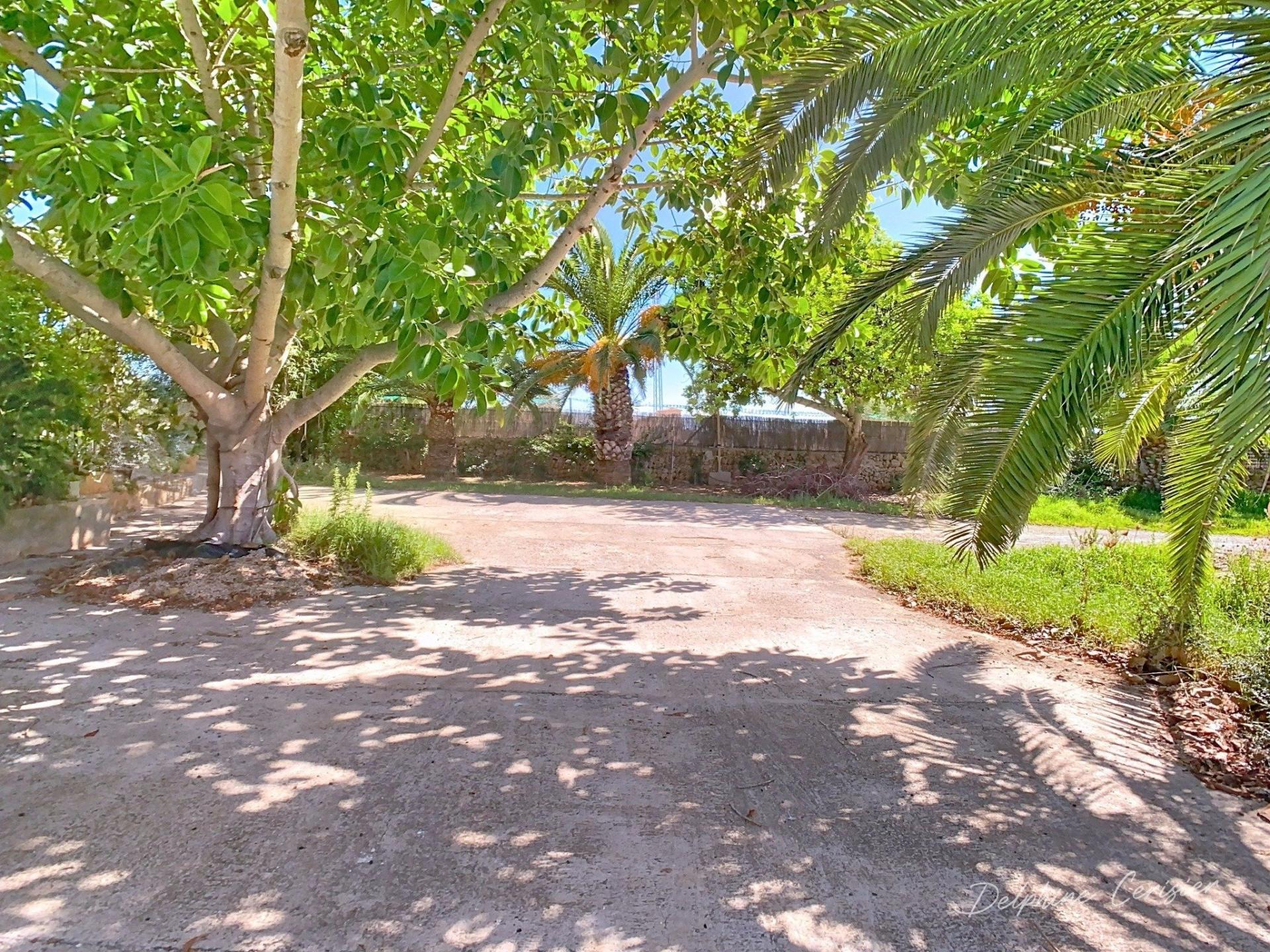 Photo 22 de l'annonce.