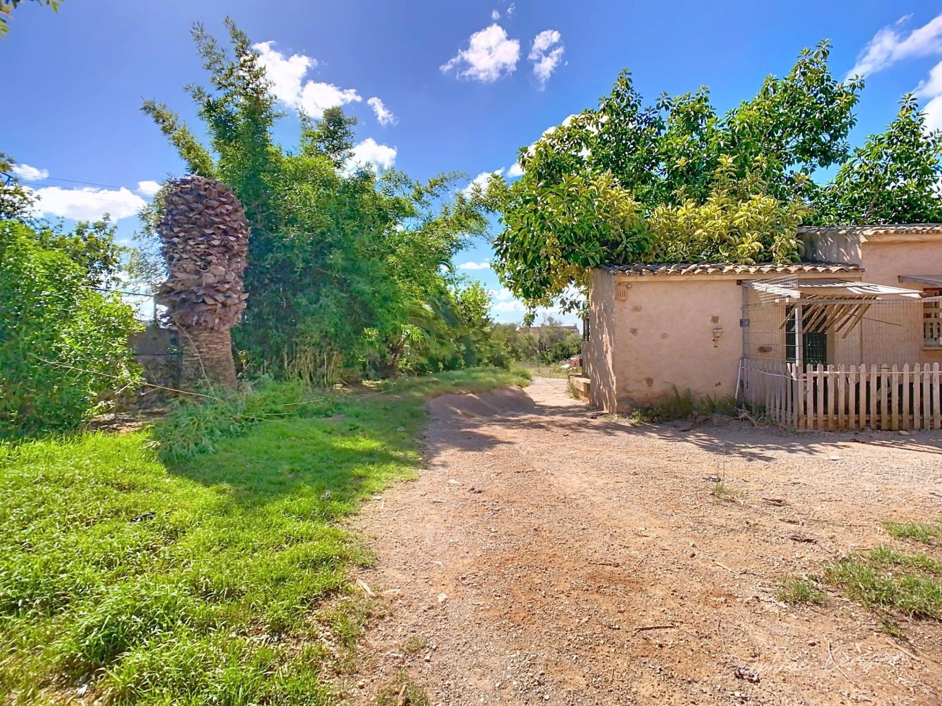 Photo 20 de l'annonce.