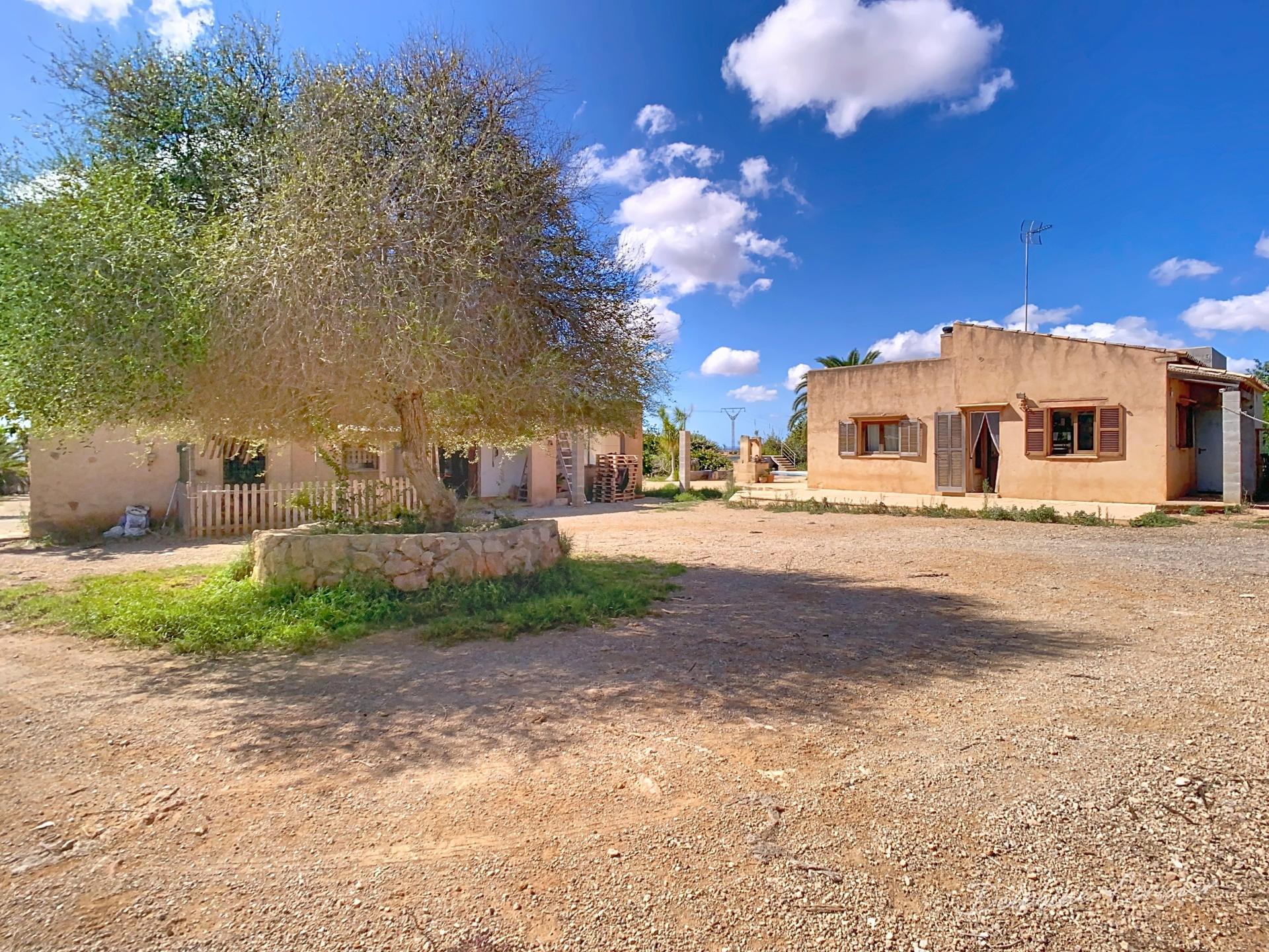 Photo 12 de l'annonce.