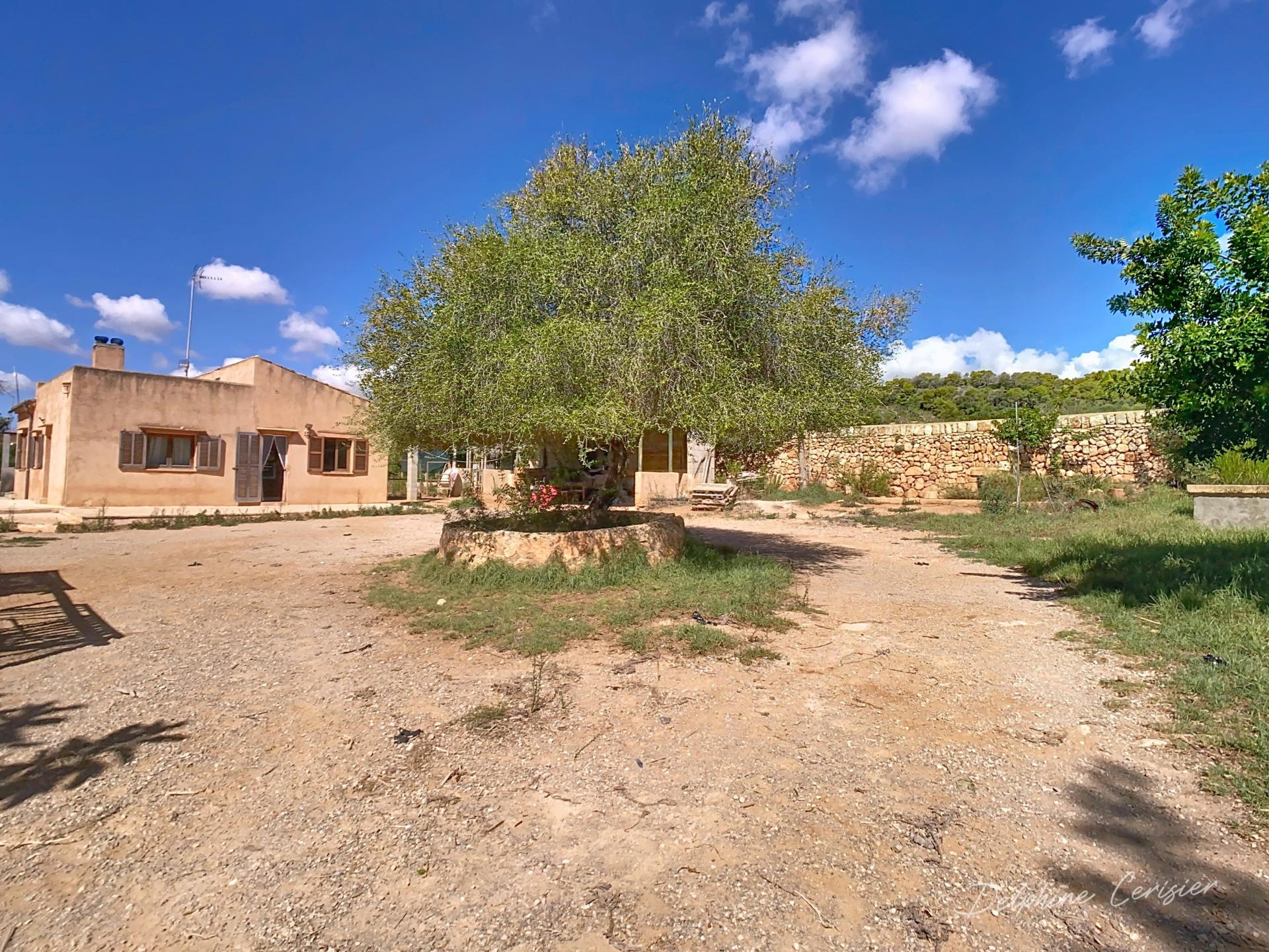 Photo 17 de l'annonce.