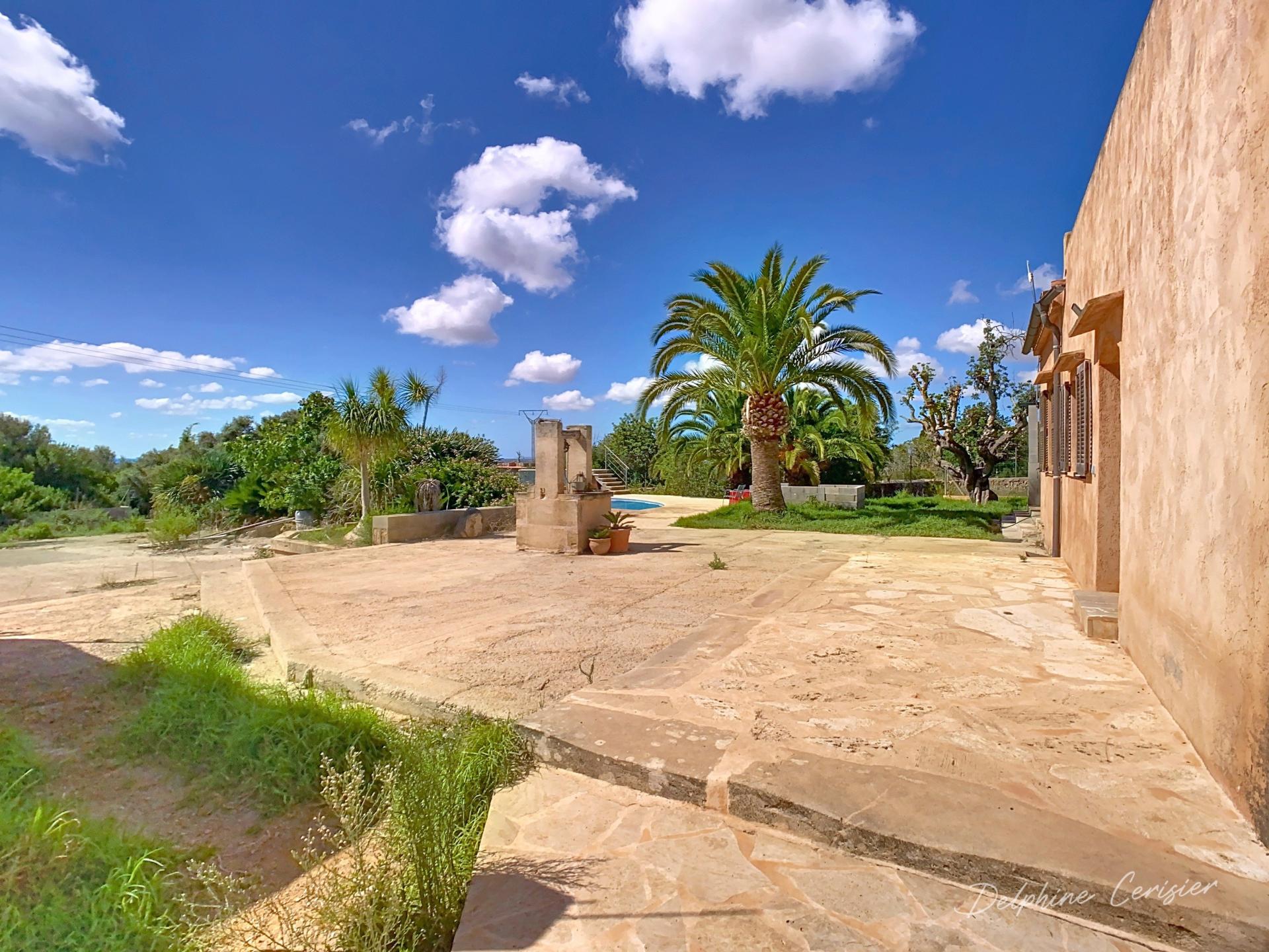 Photo 3 de l'annonce.