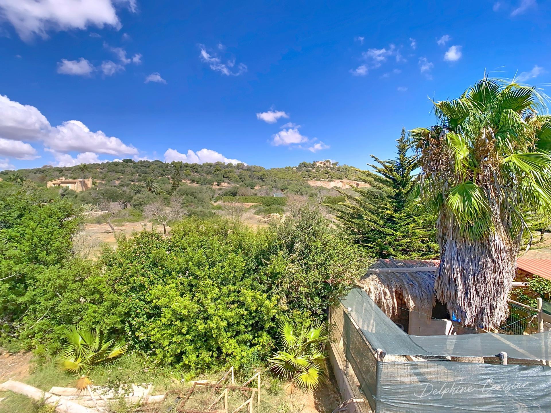 Photo 31 de l'annonce.