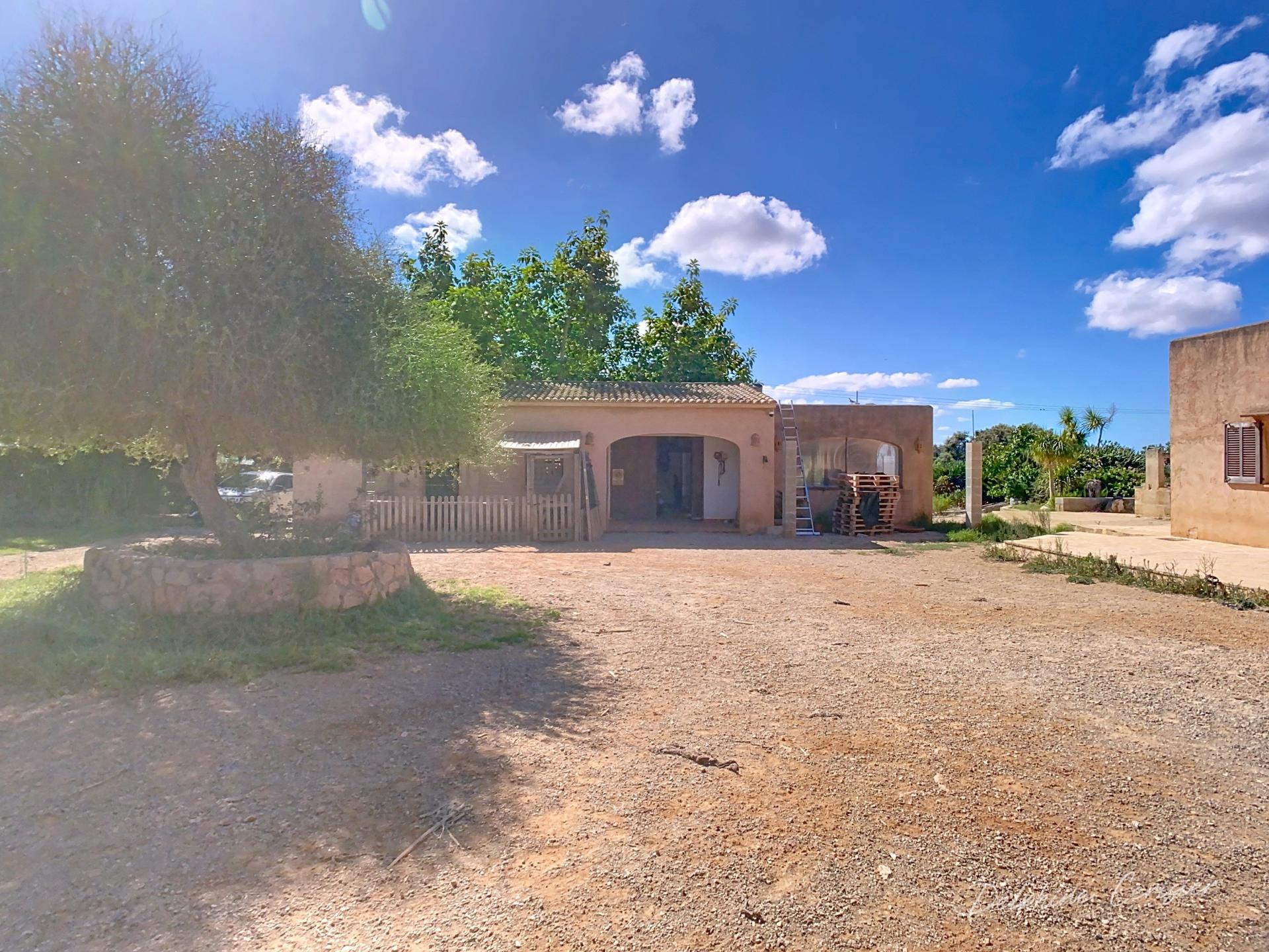 Photo 19 de l'annonce.