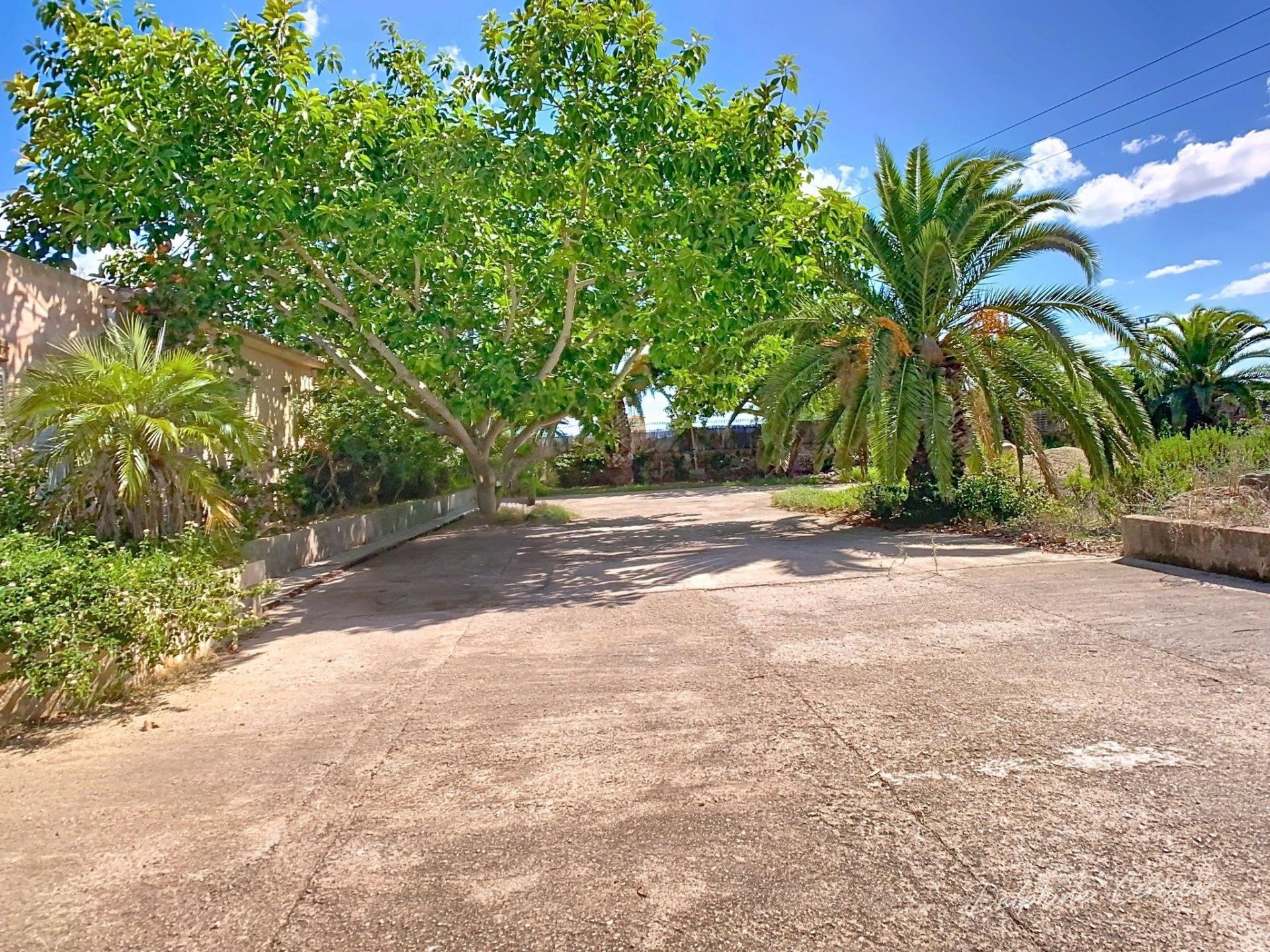 Photo 21 de l'annonce.