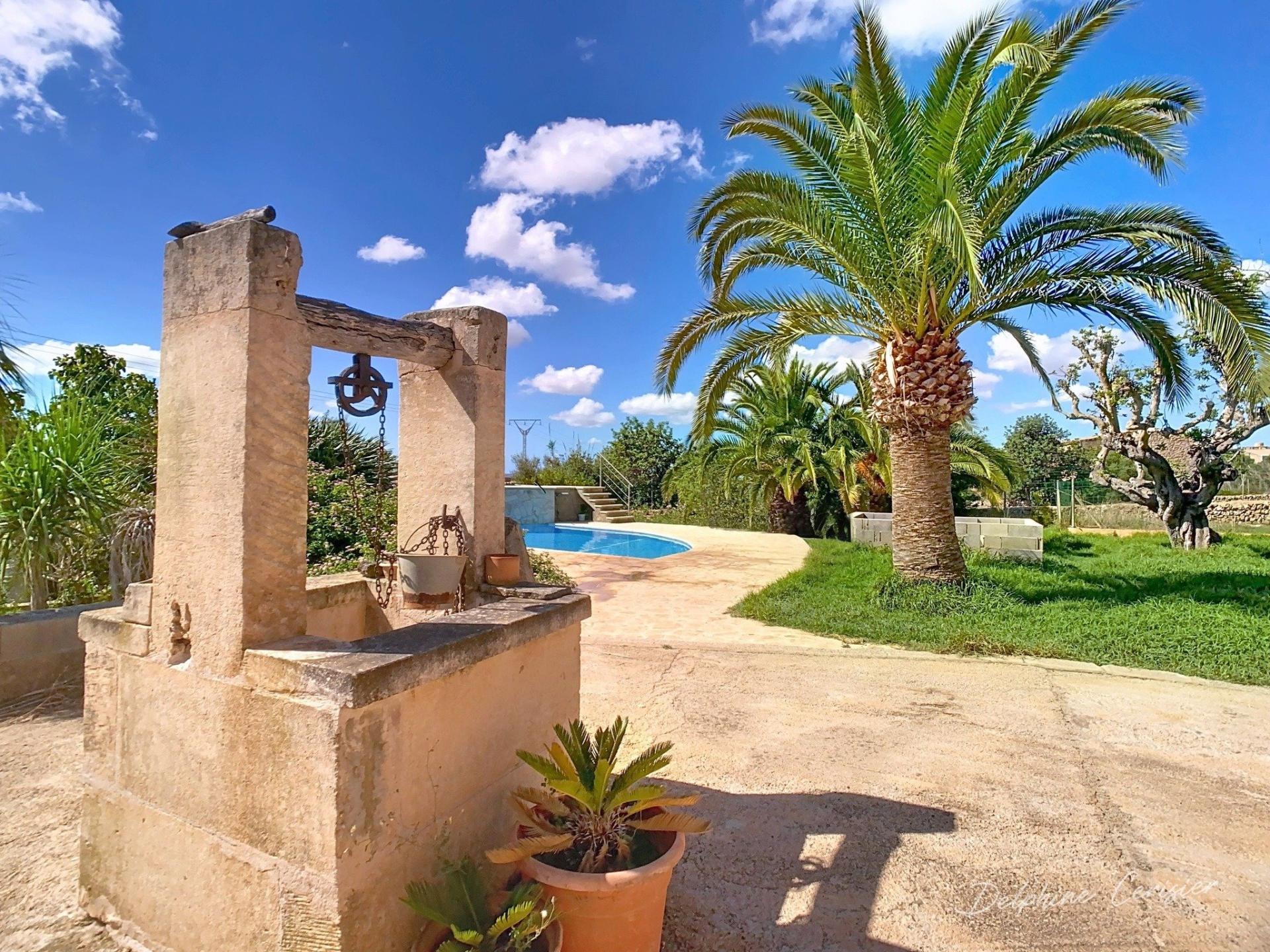 Photo 47 de l'annonce.