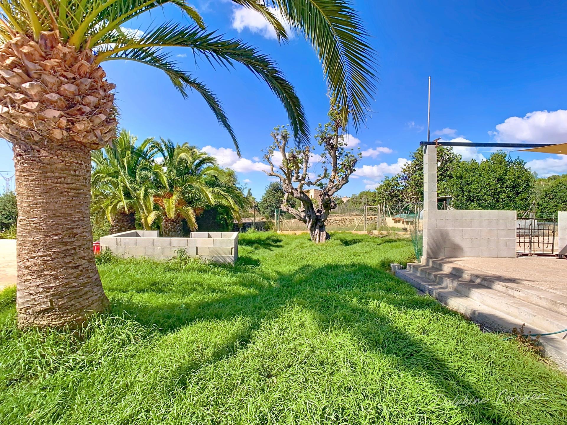 Photo 28 de l'annonce.