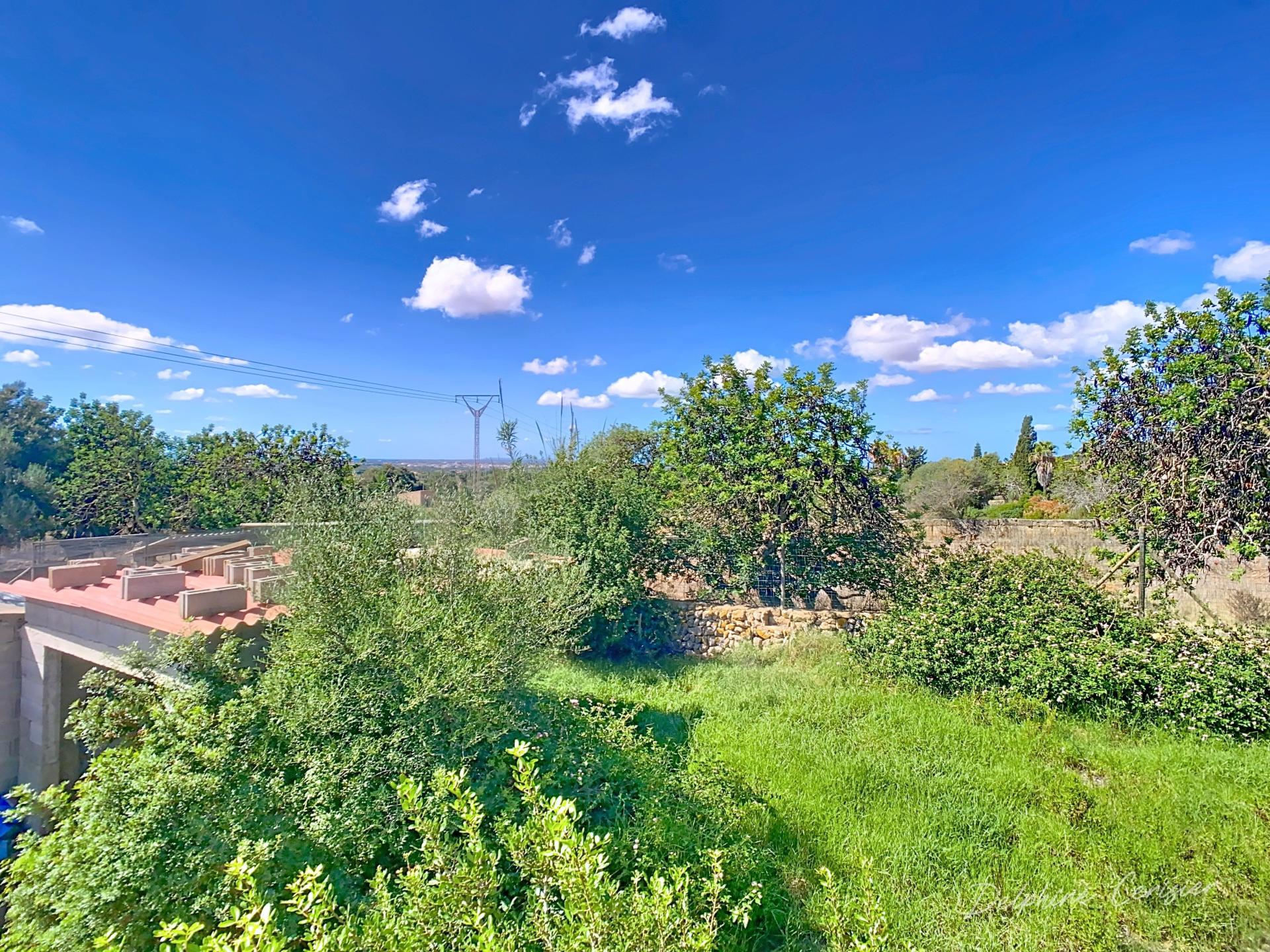 Photo 30 de l'annonce.