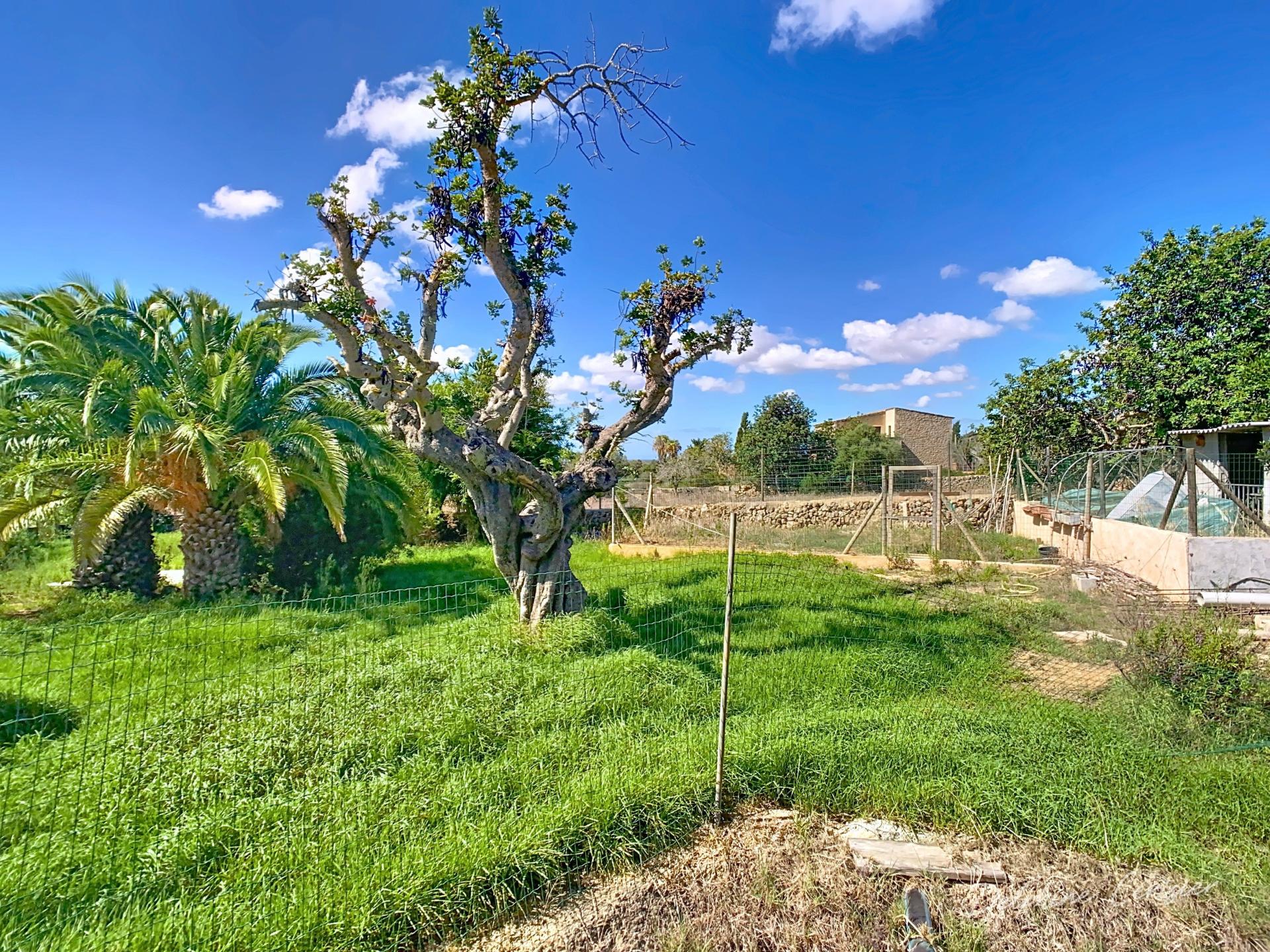 Photo 11 de l'annonce.