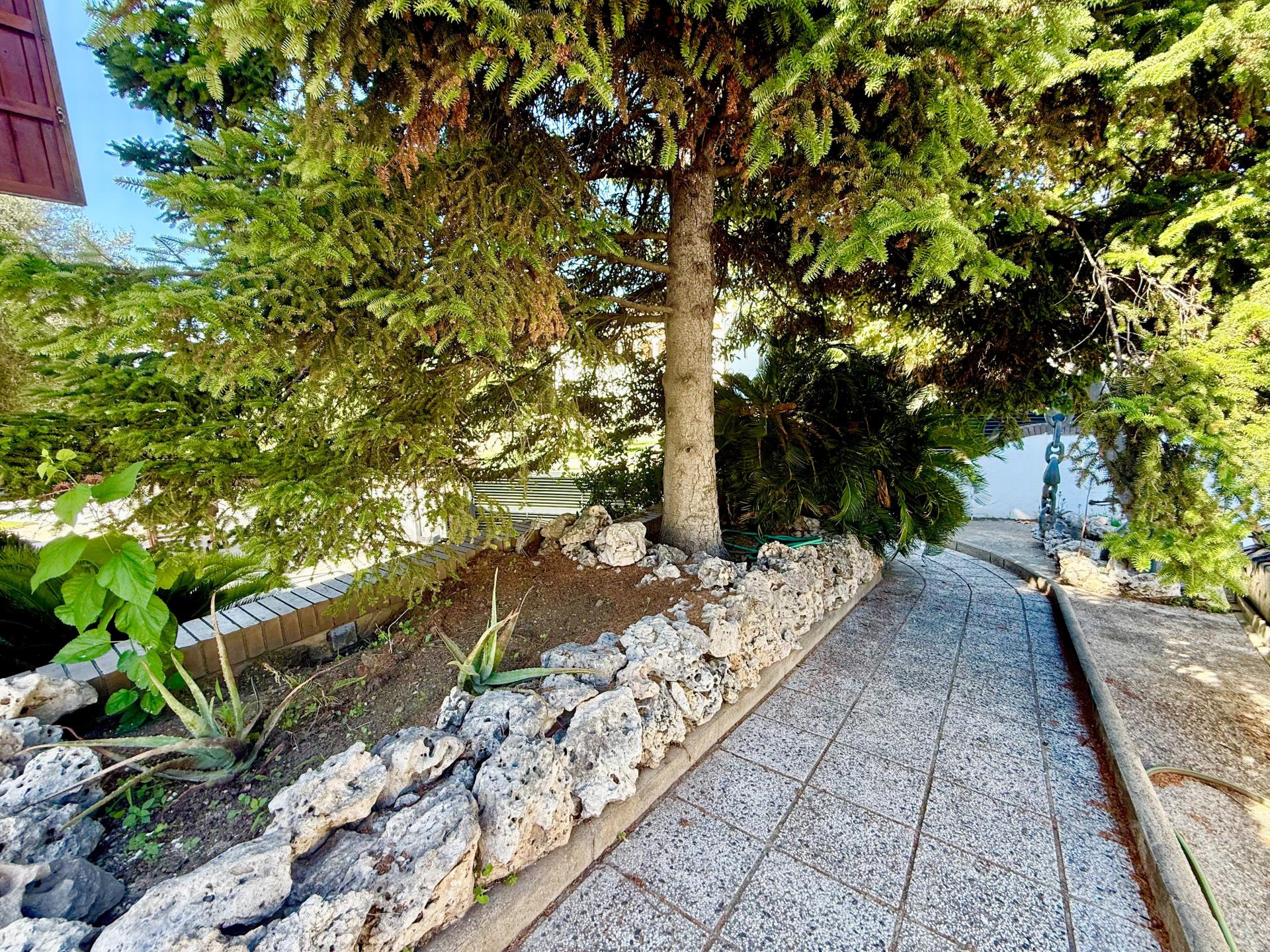 Photo 19 de l'annonce.