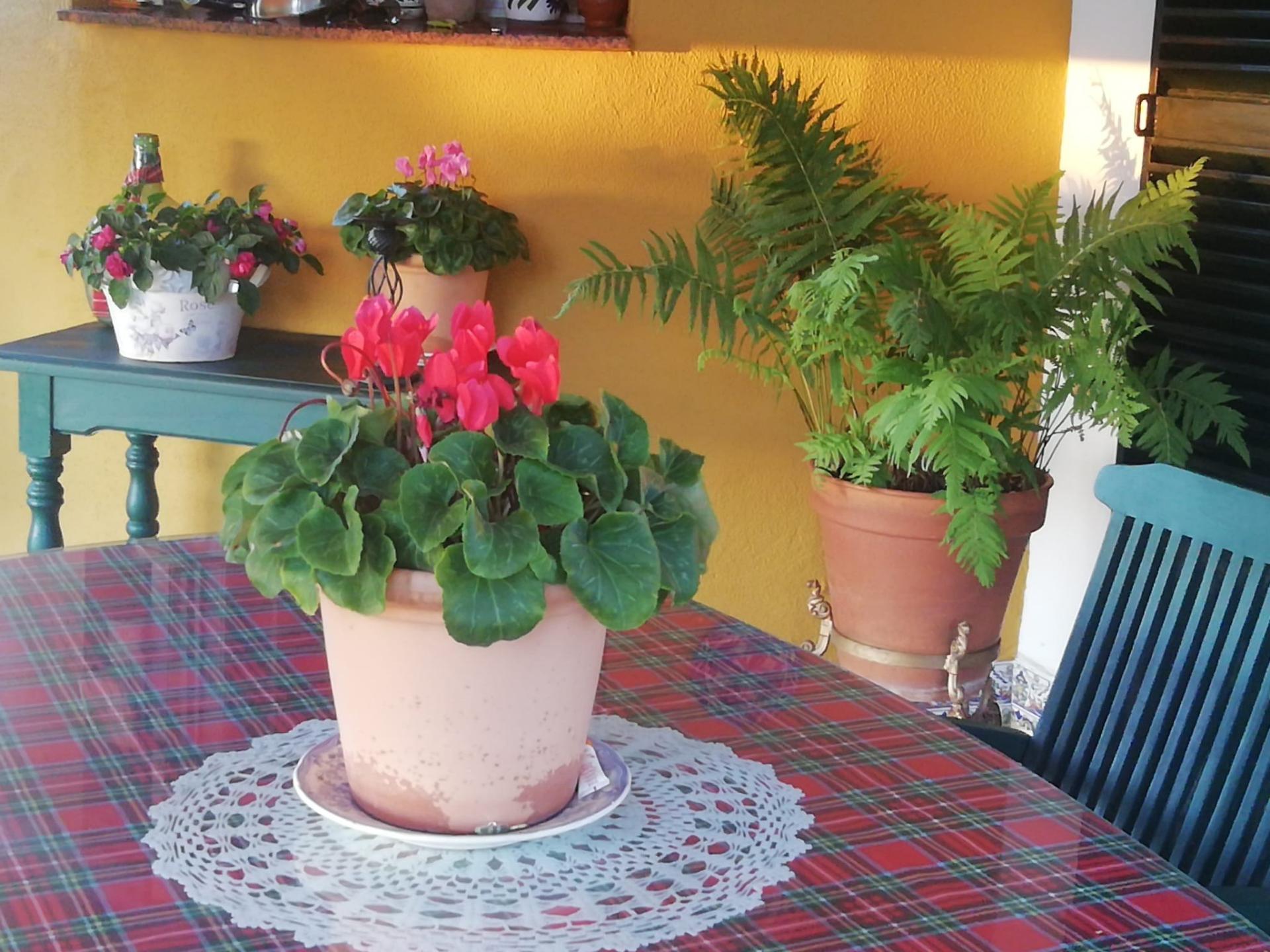 Photo 17 de l'annonce.